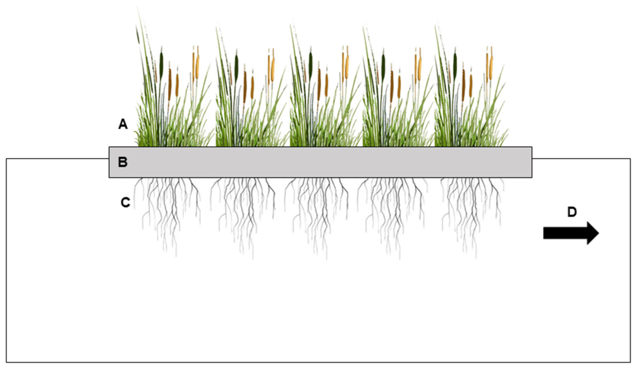 Sustainability 15 01411 g002