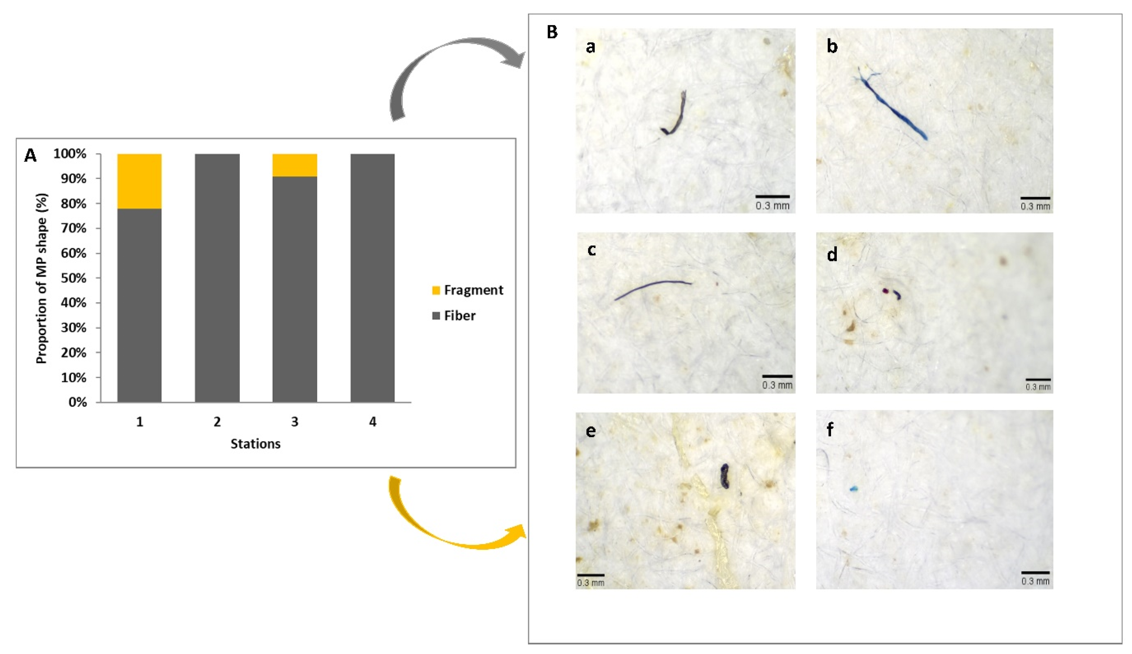 Sustainability 15 01422 g005 Sustainability 15 01422 g005