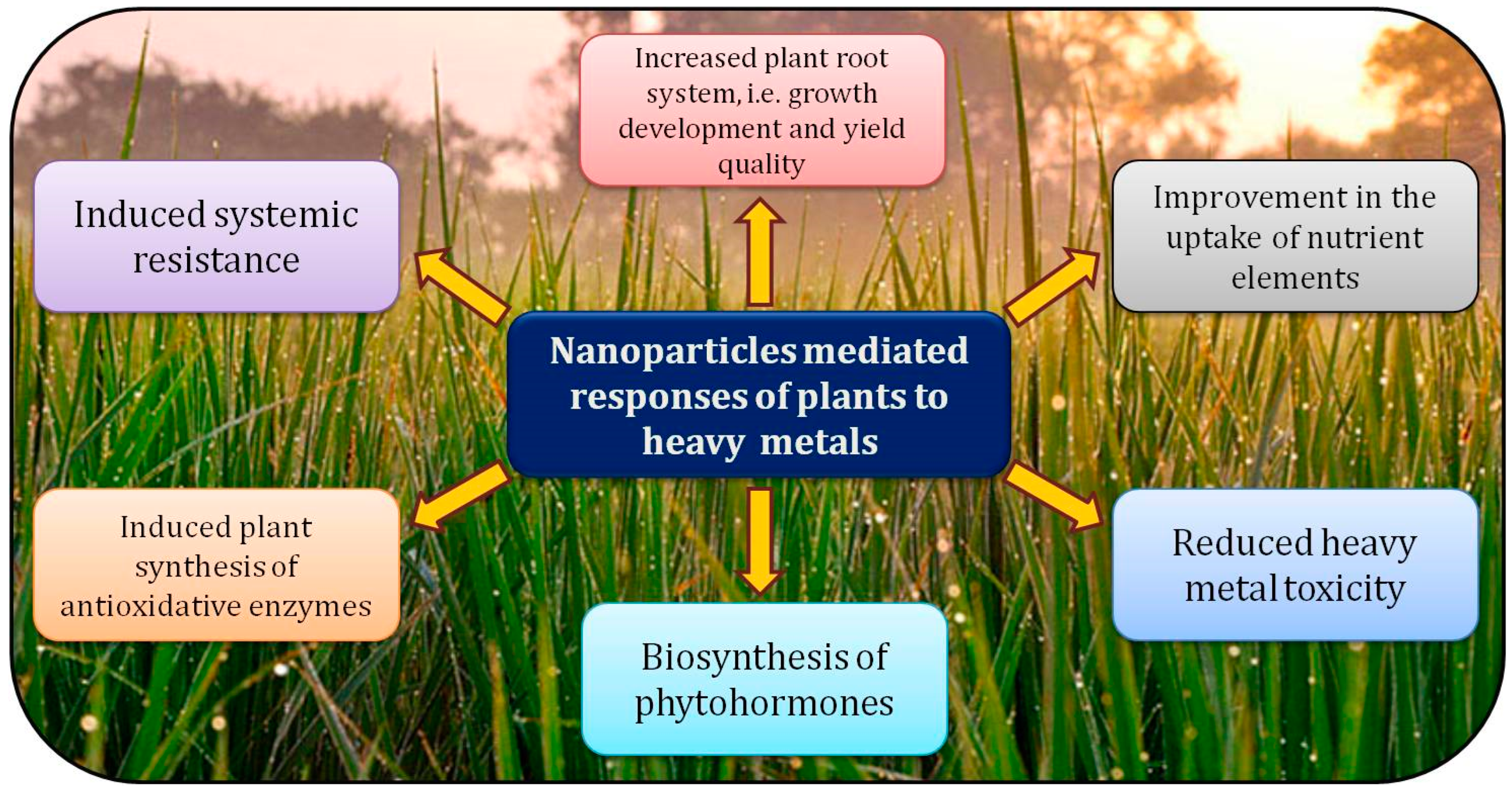 Sustainability 15 01446 g002