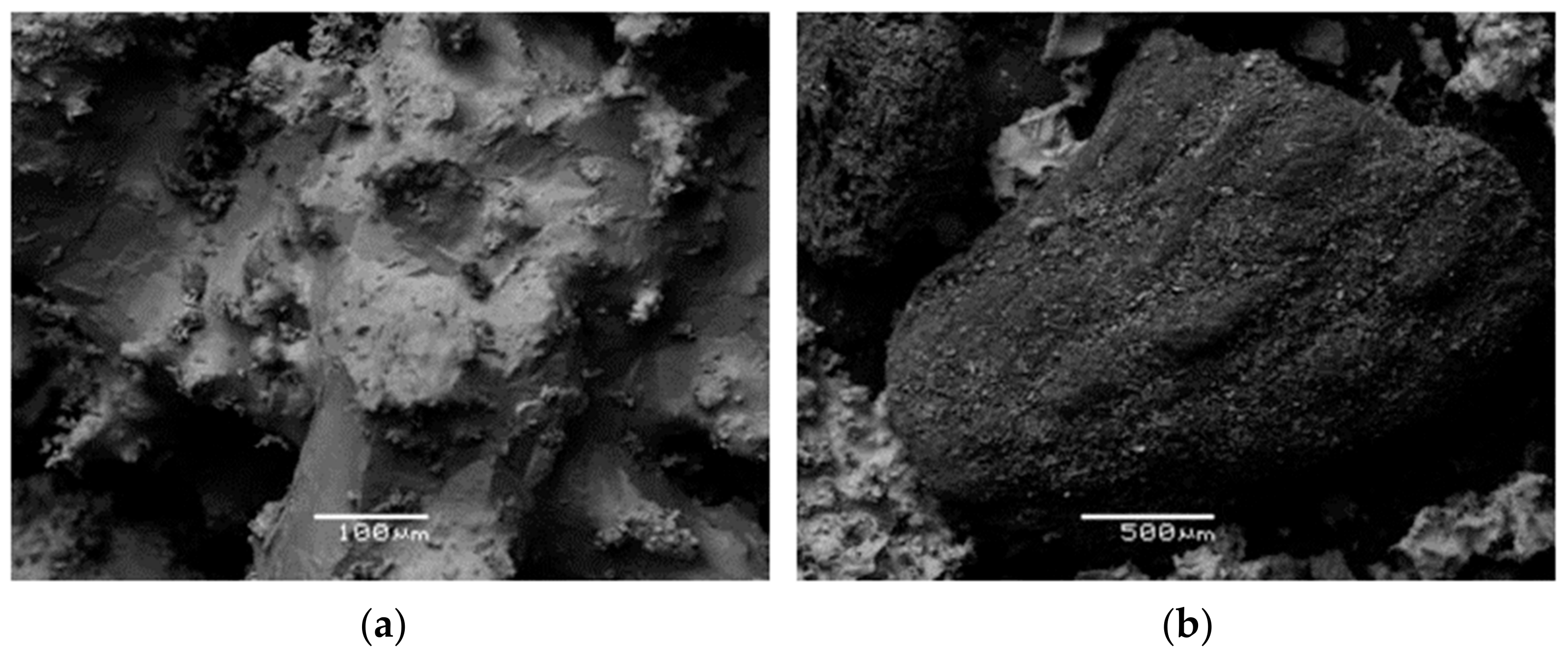 Sustainability 15 01642 g001 Sustainability 15 01642 g001