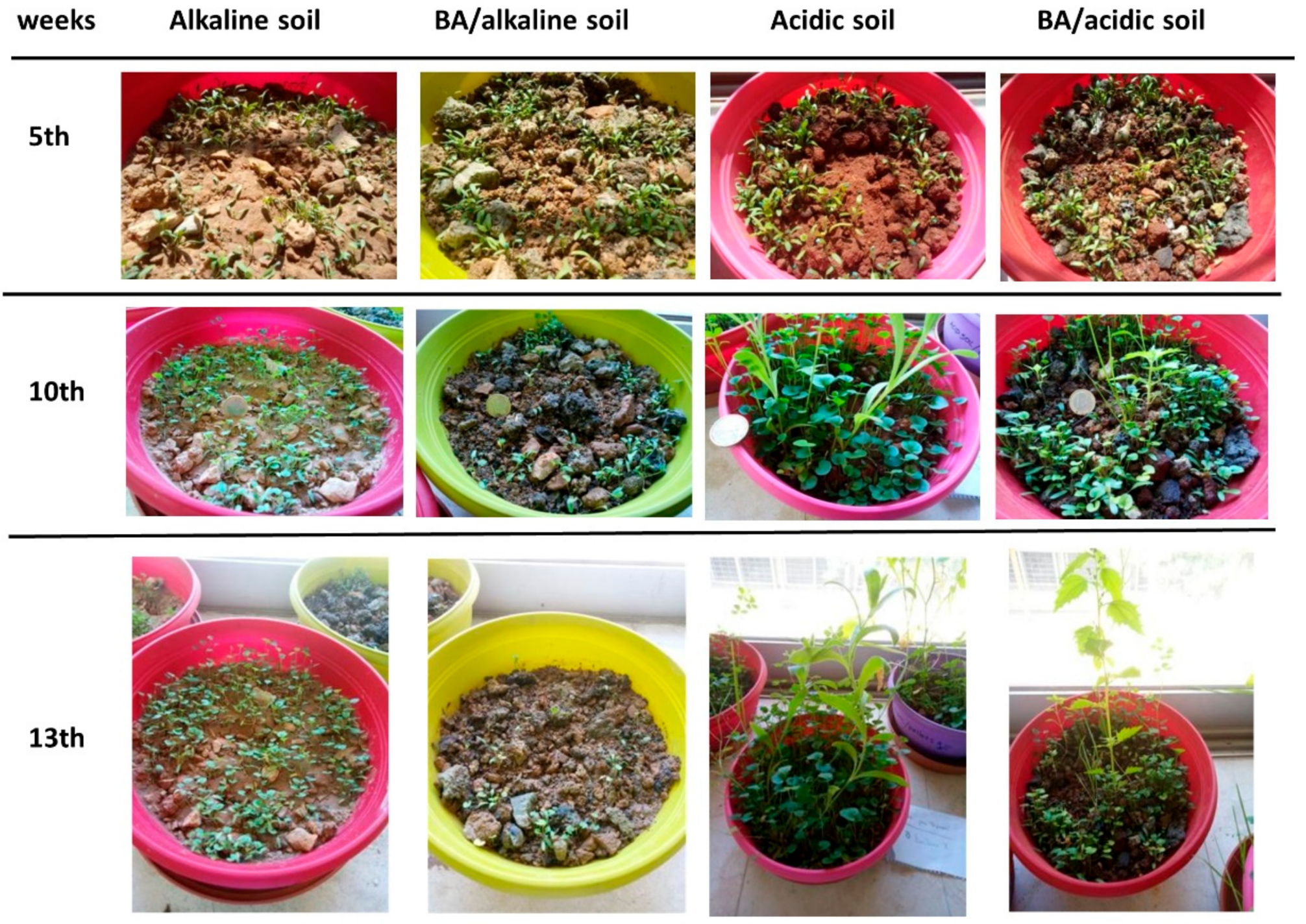 Sustainability 15 01642 g004 Sustainability 15 01642 g004