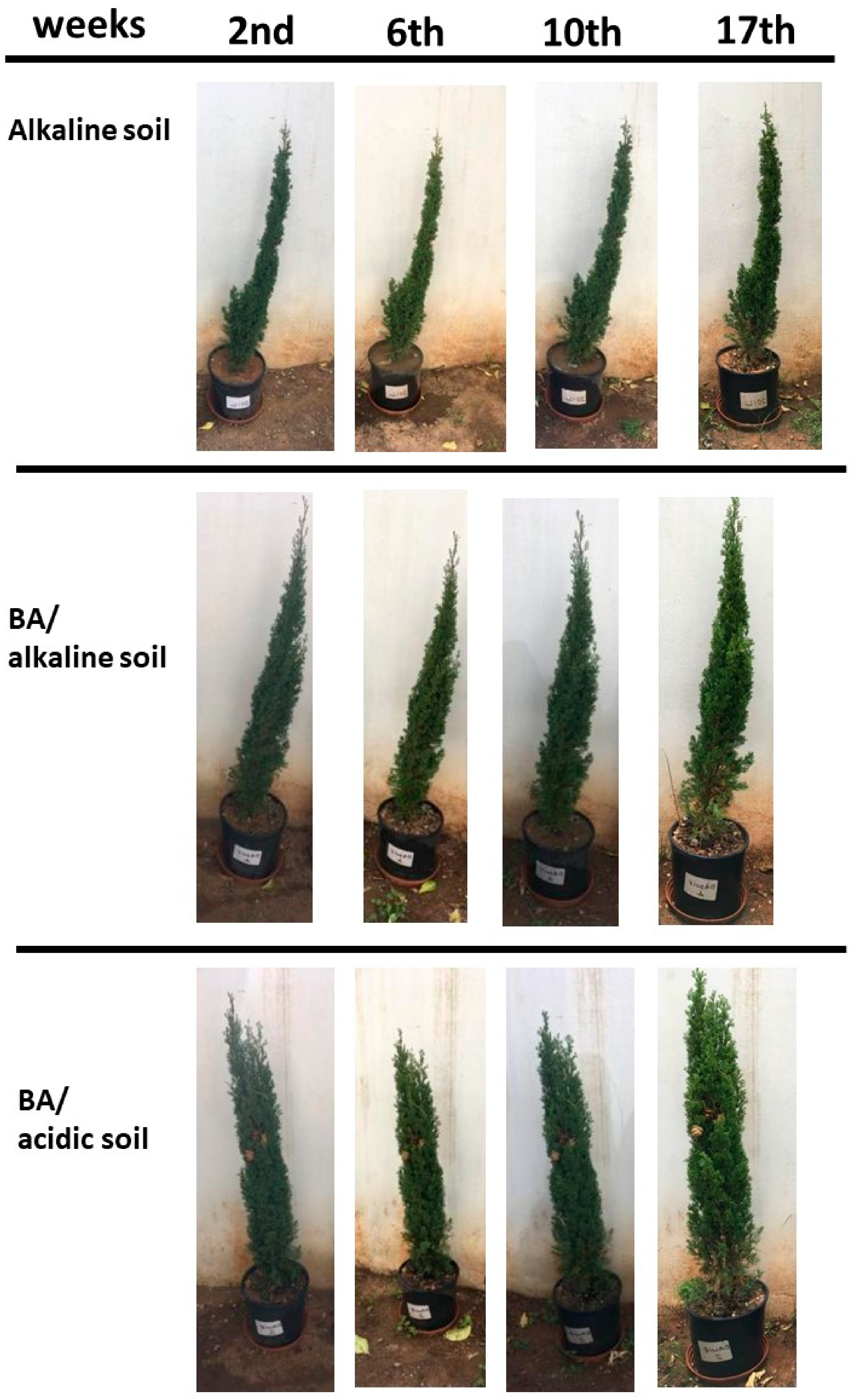 Sustainability 15 01642 g005 Sustainability 15 01642 g005