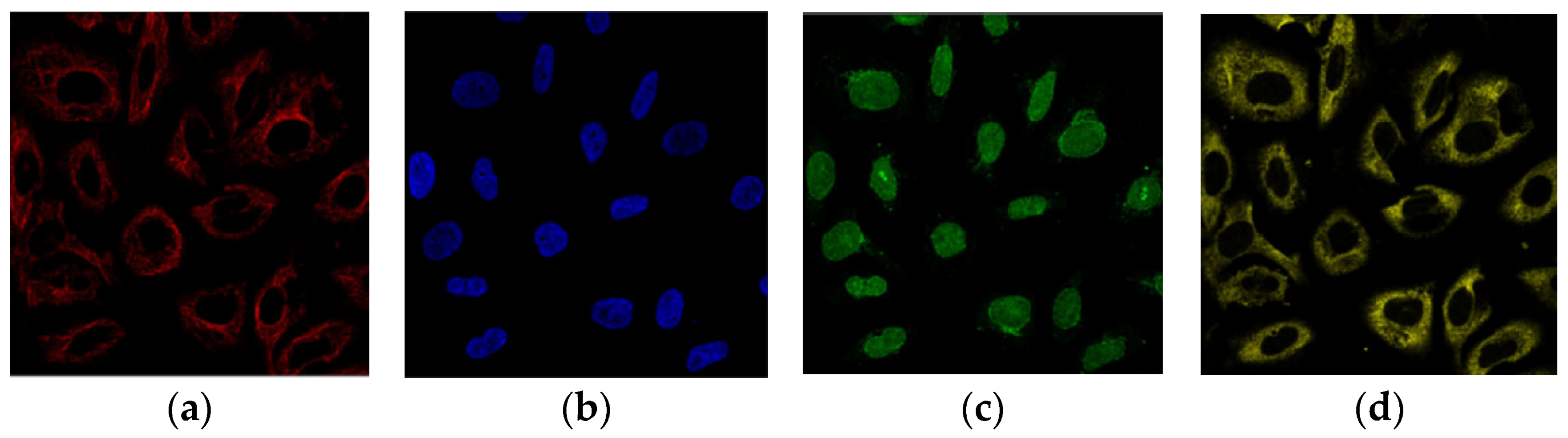 Sustainability 15 01695 g001