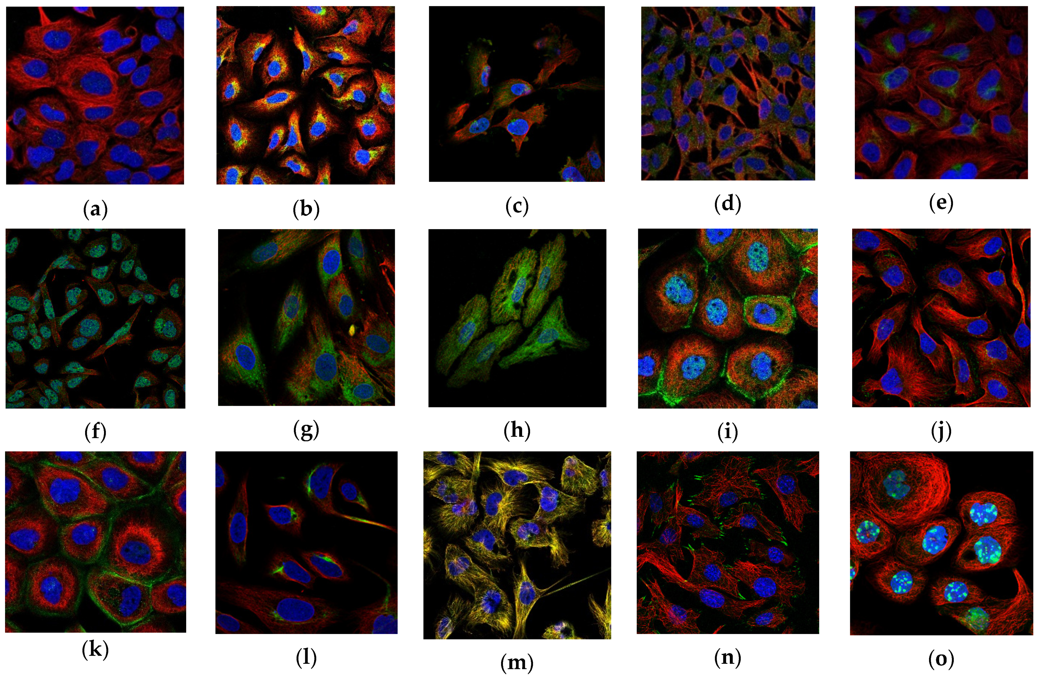 Sustainability 15 01695 g002a