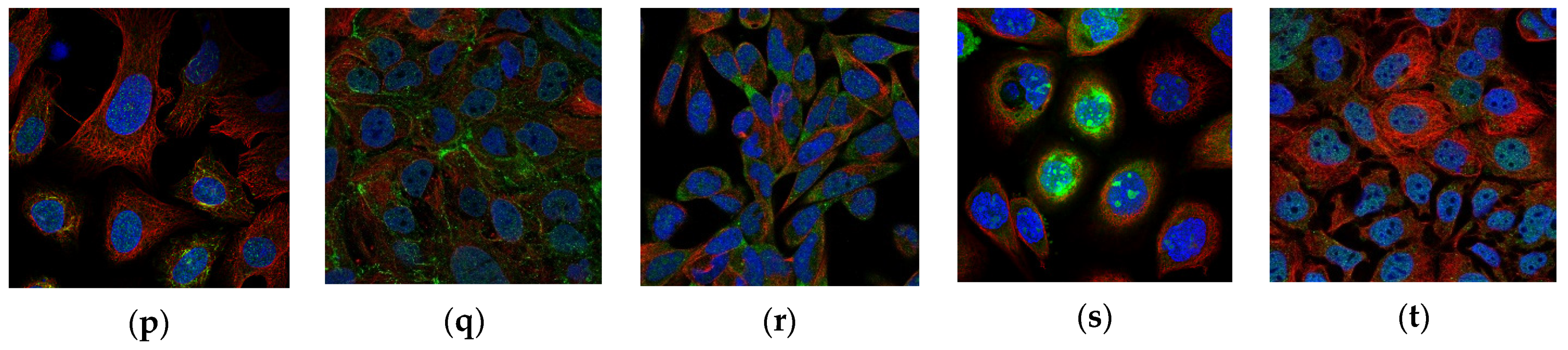 Sustainability 15 01695 g002b