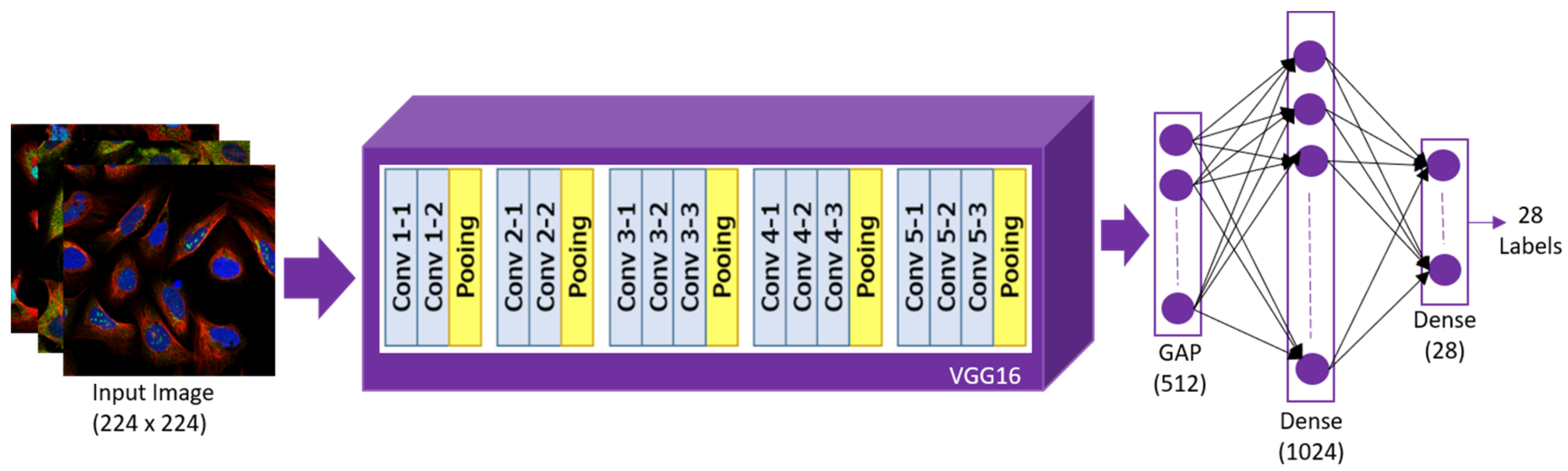 Sustainability 15 01695 g003