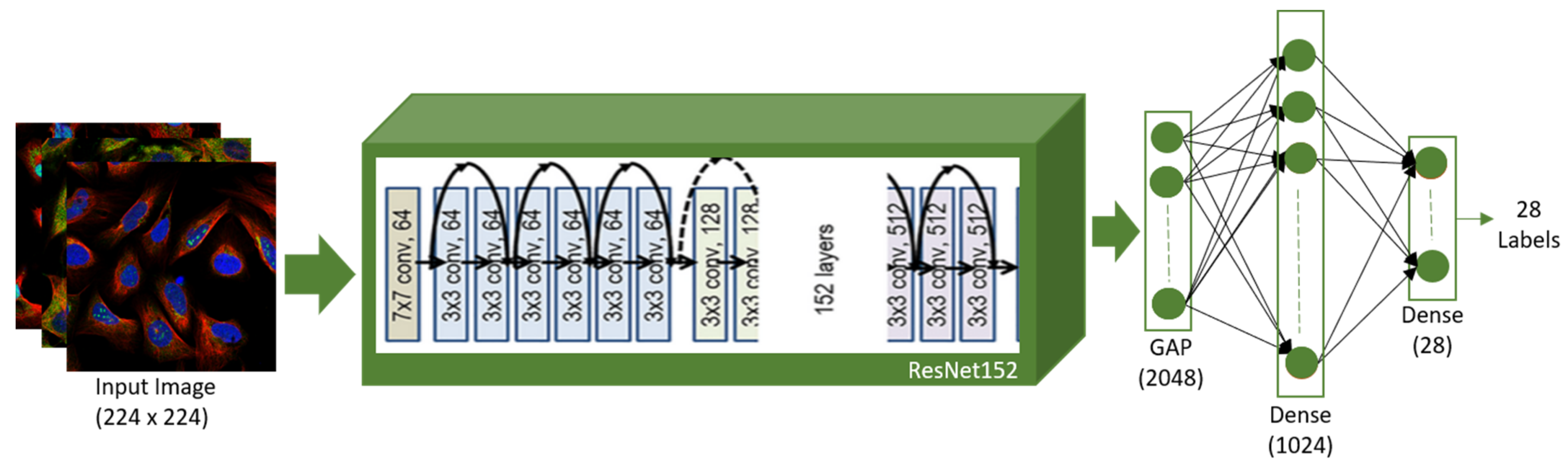 Sustainability 15 01695 g004