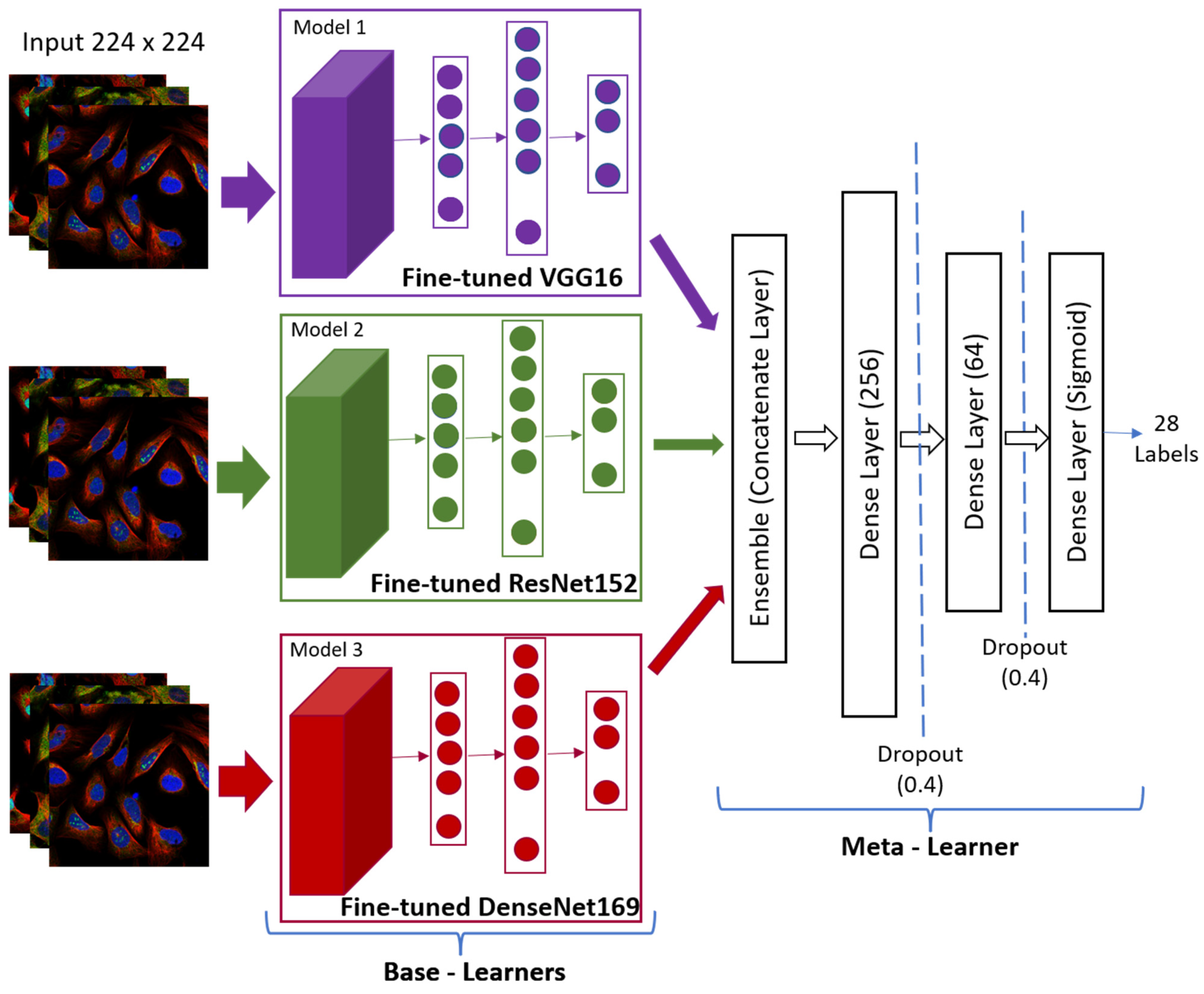 Sustainability 15 01695 g006