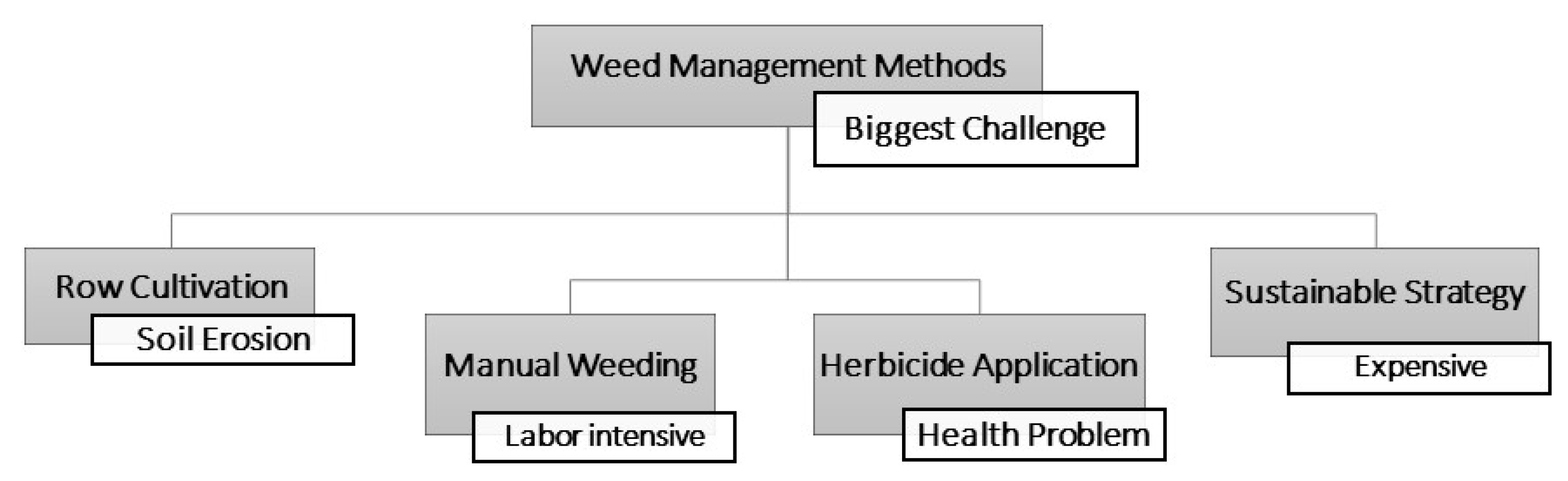 Sustainability 15 01843 g001 Sustainability 15 01843 g001