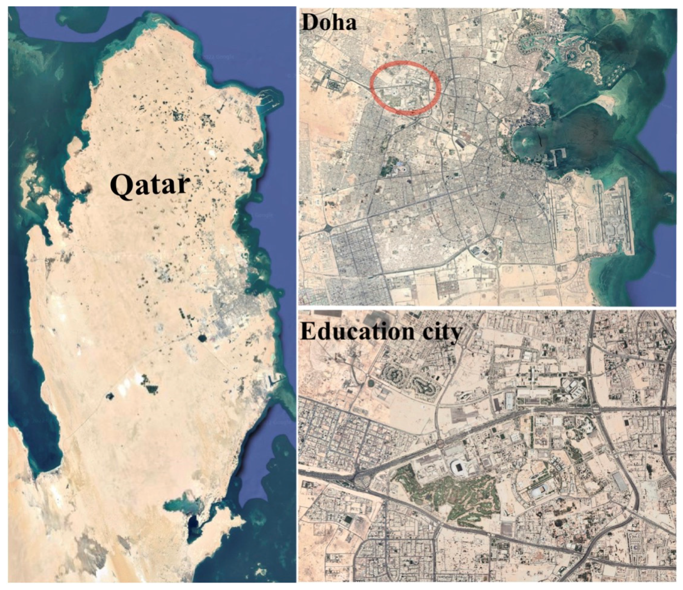 Sustainability 15 01913 g001