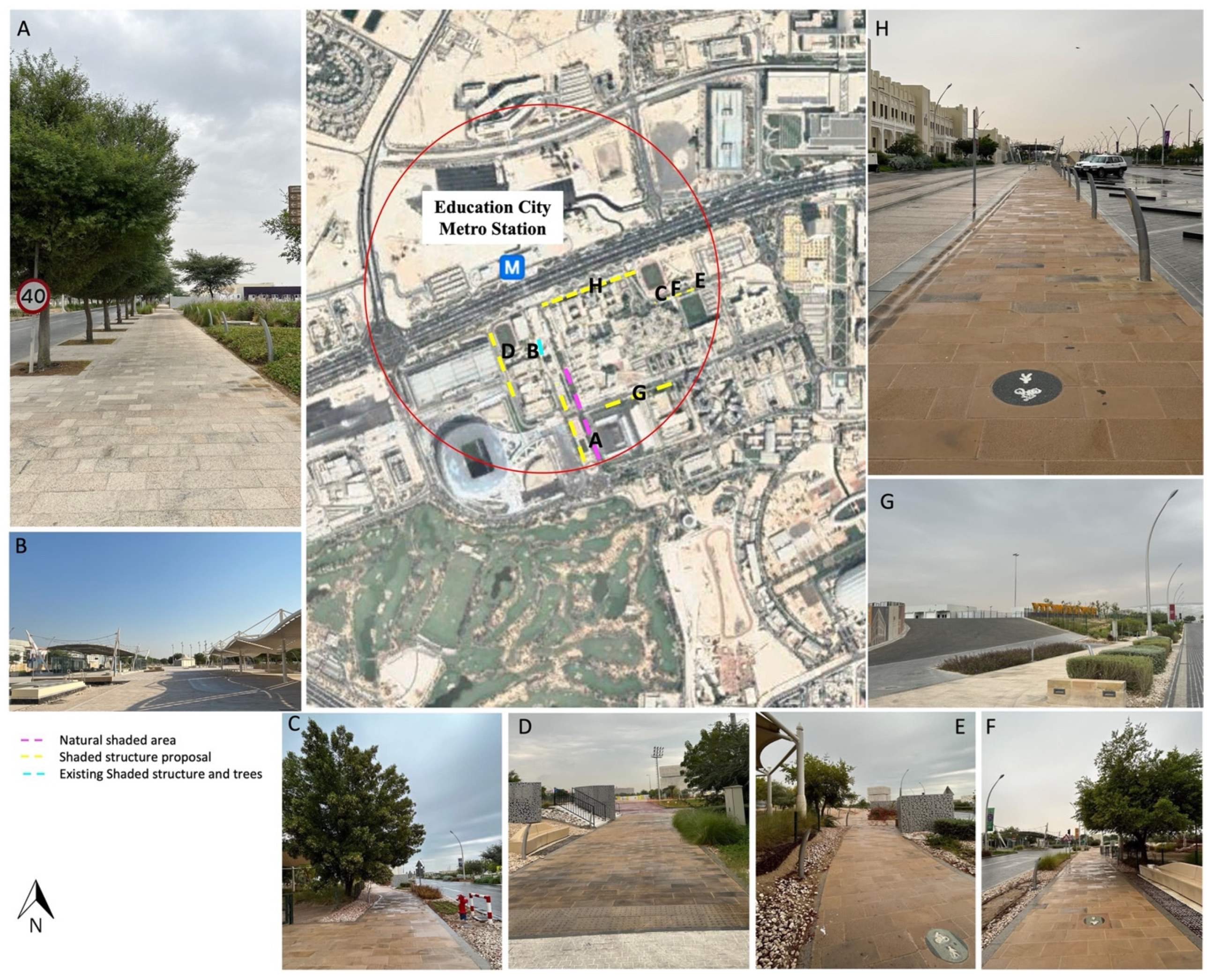 Sustainability 15 01913 g010