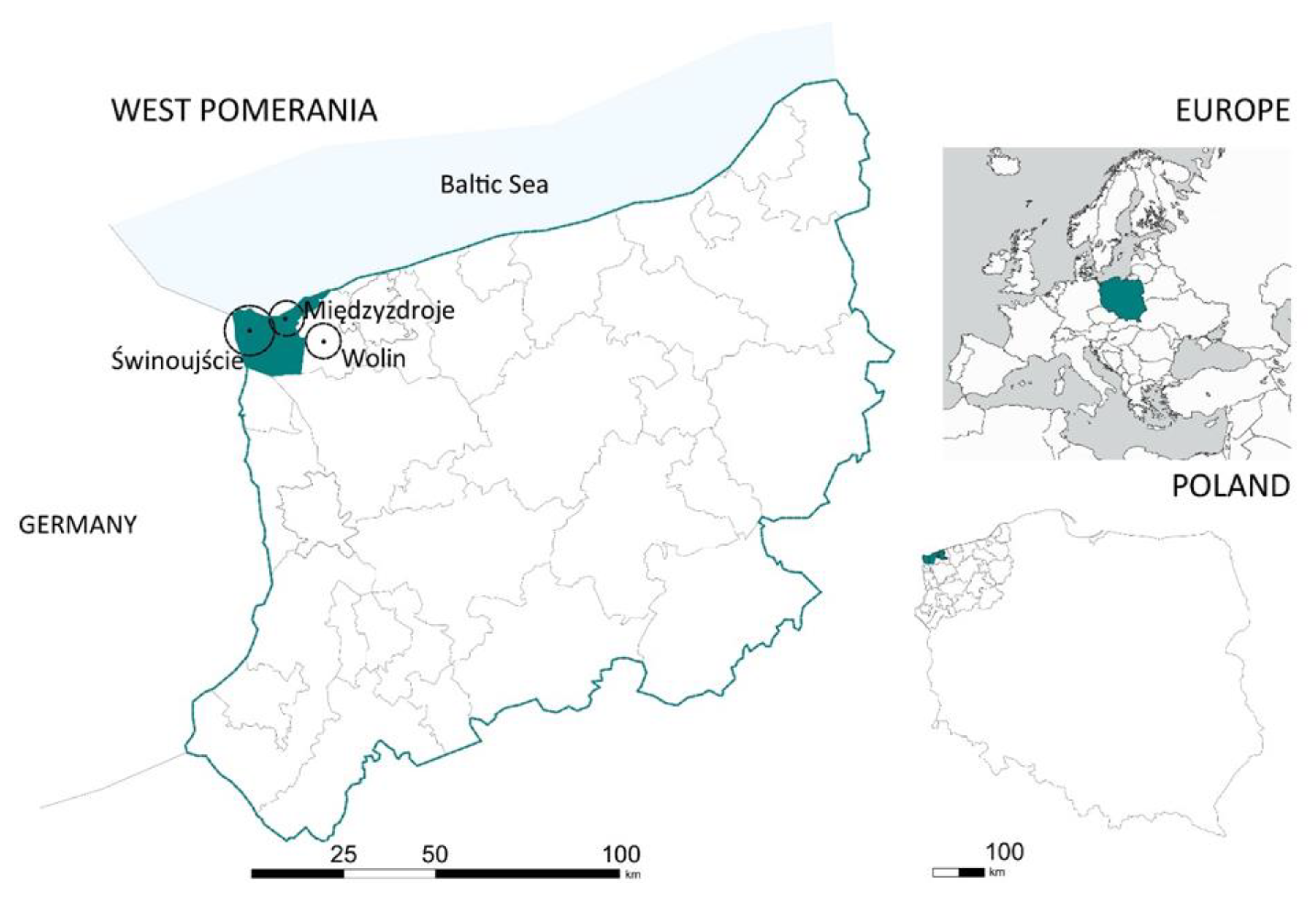 Sustainability 15 01928 g001