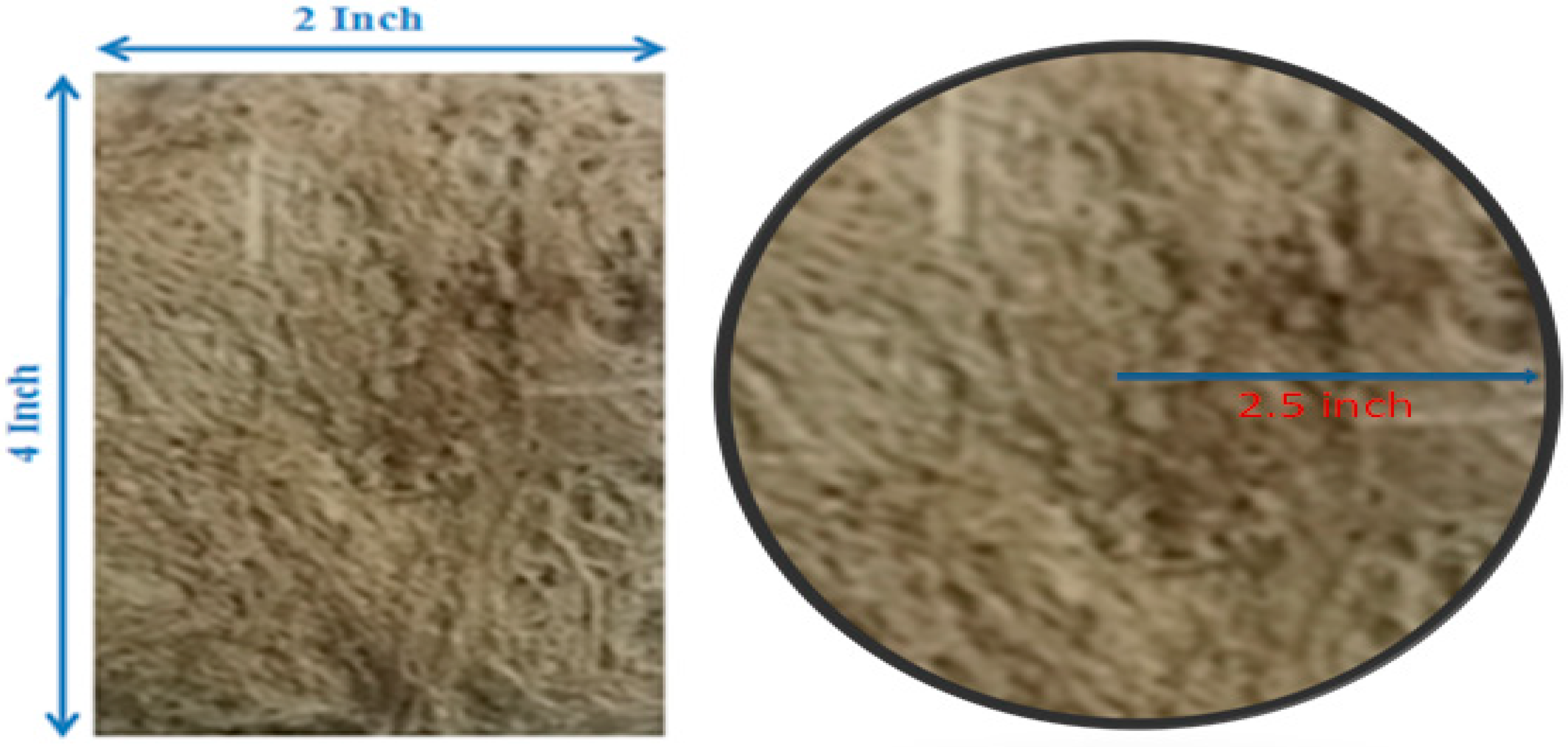 Sustainability 15 01958 g001