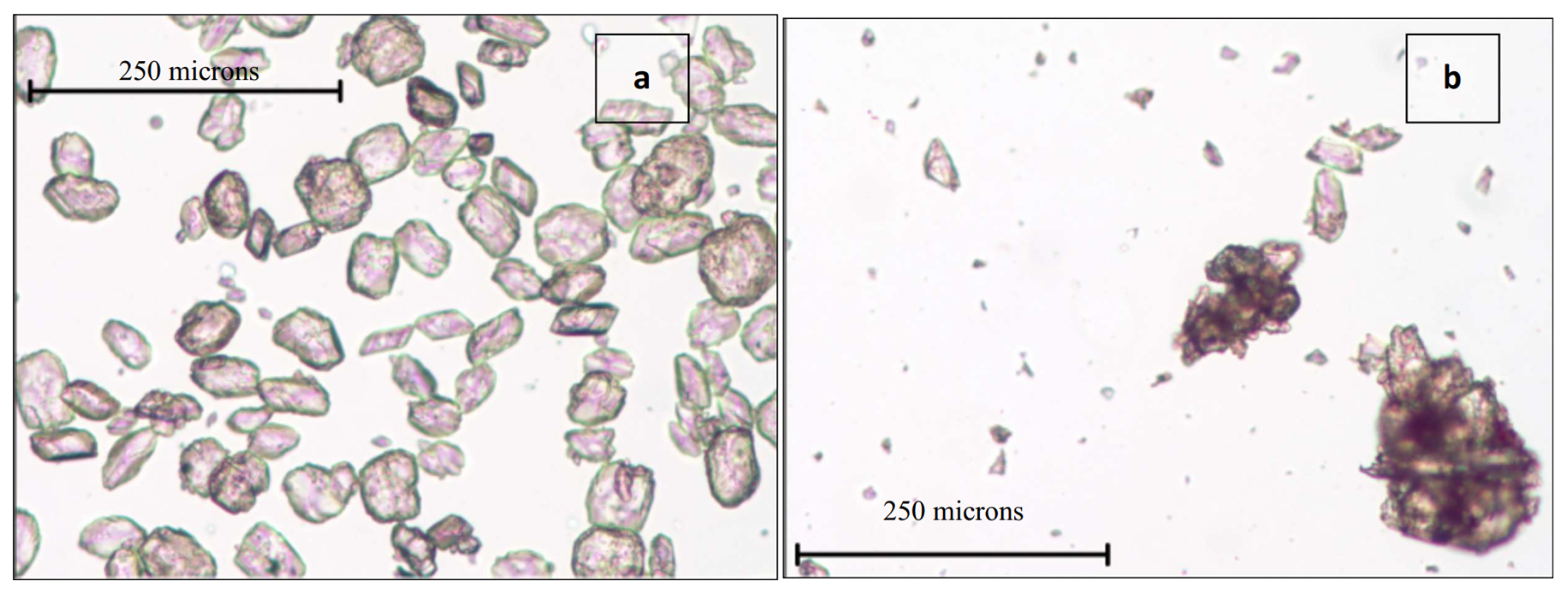 Sustainability 15 01977 g001
