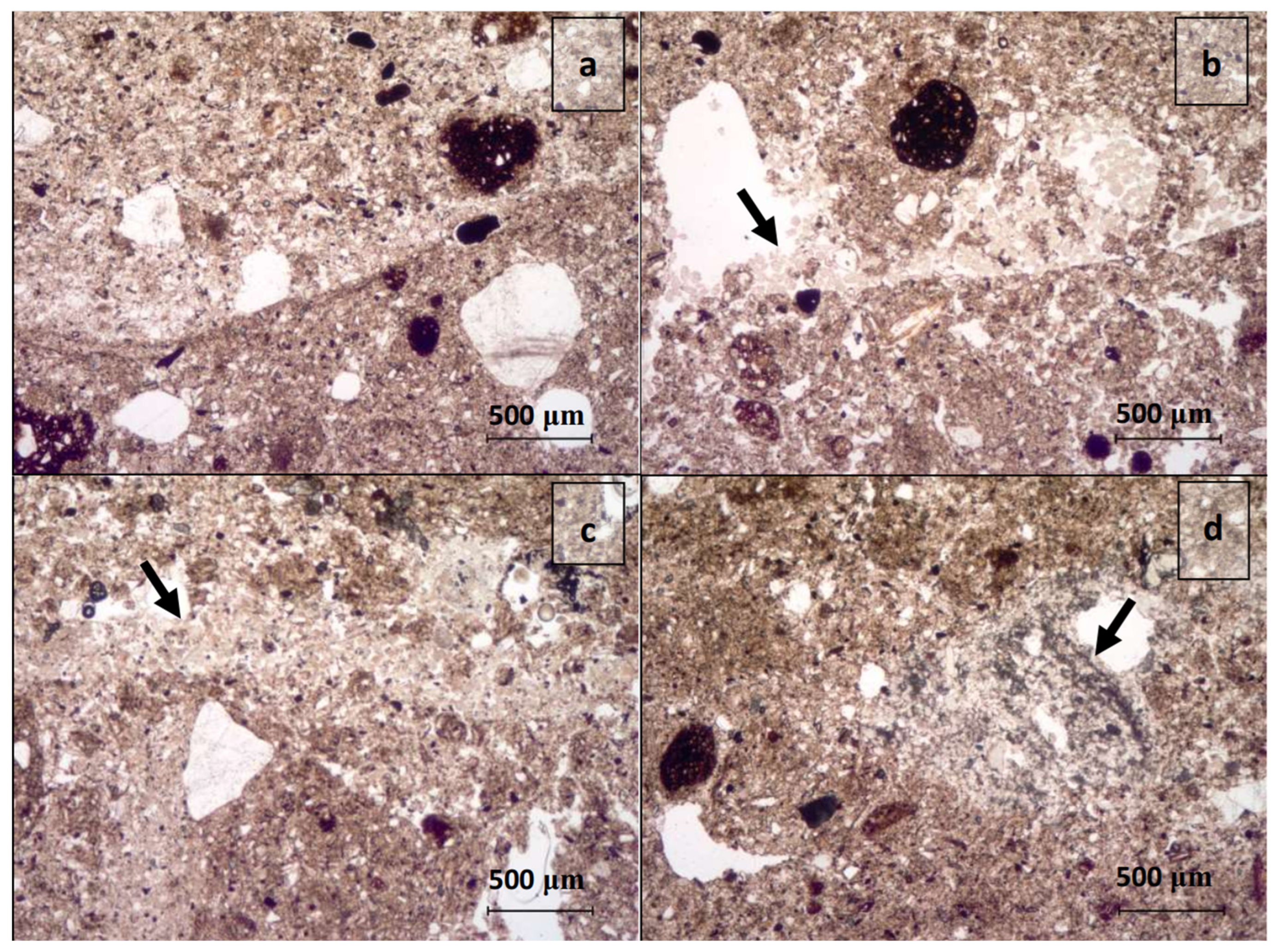 Sustainability 15 01977 g006
