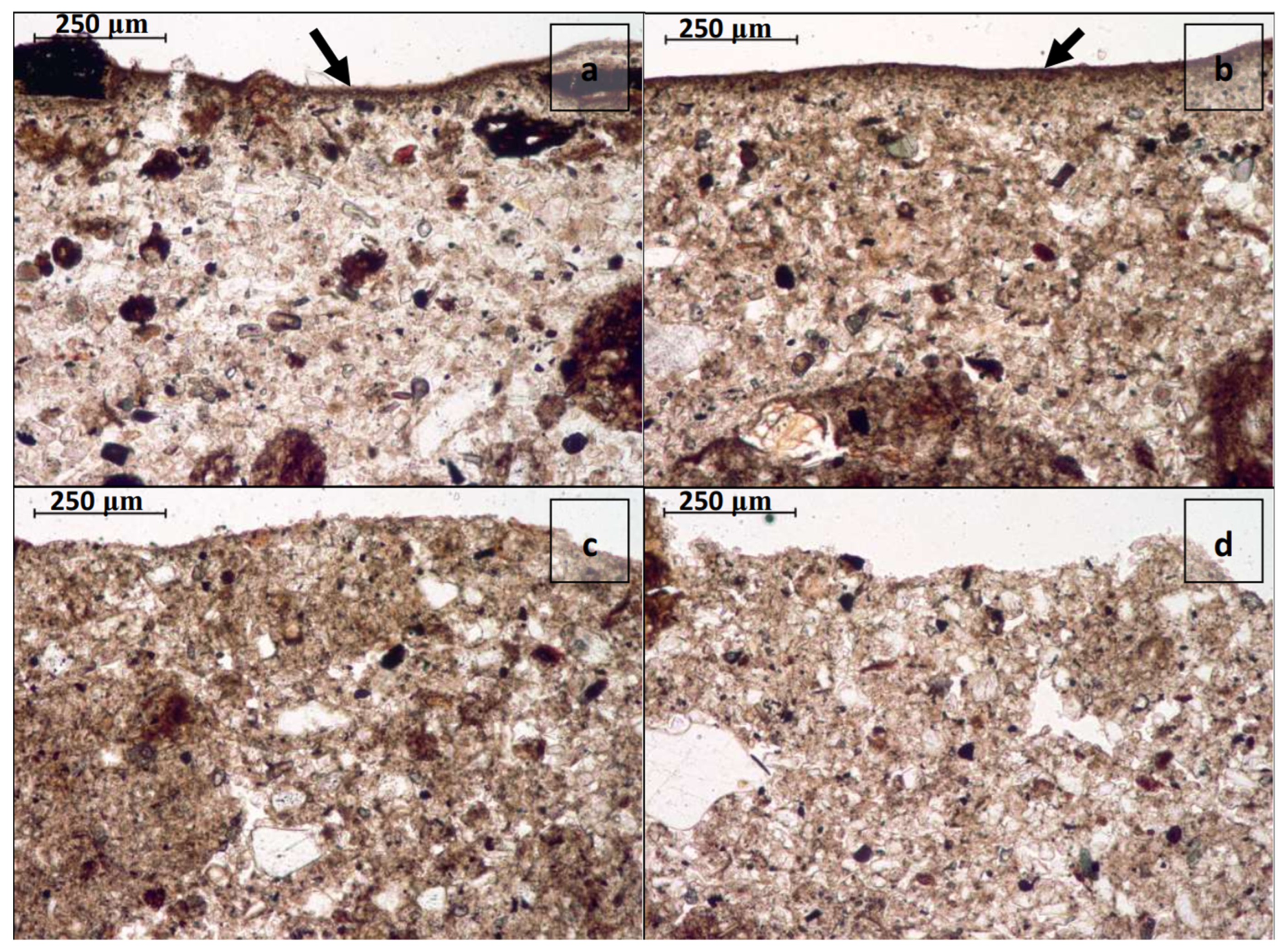 Sustainability 15 01977 g007