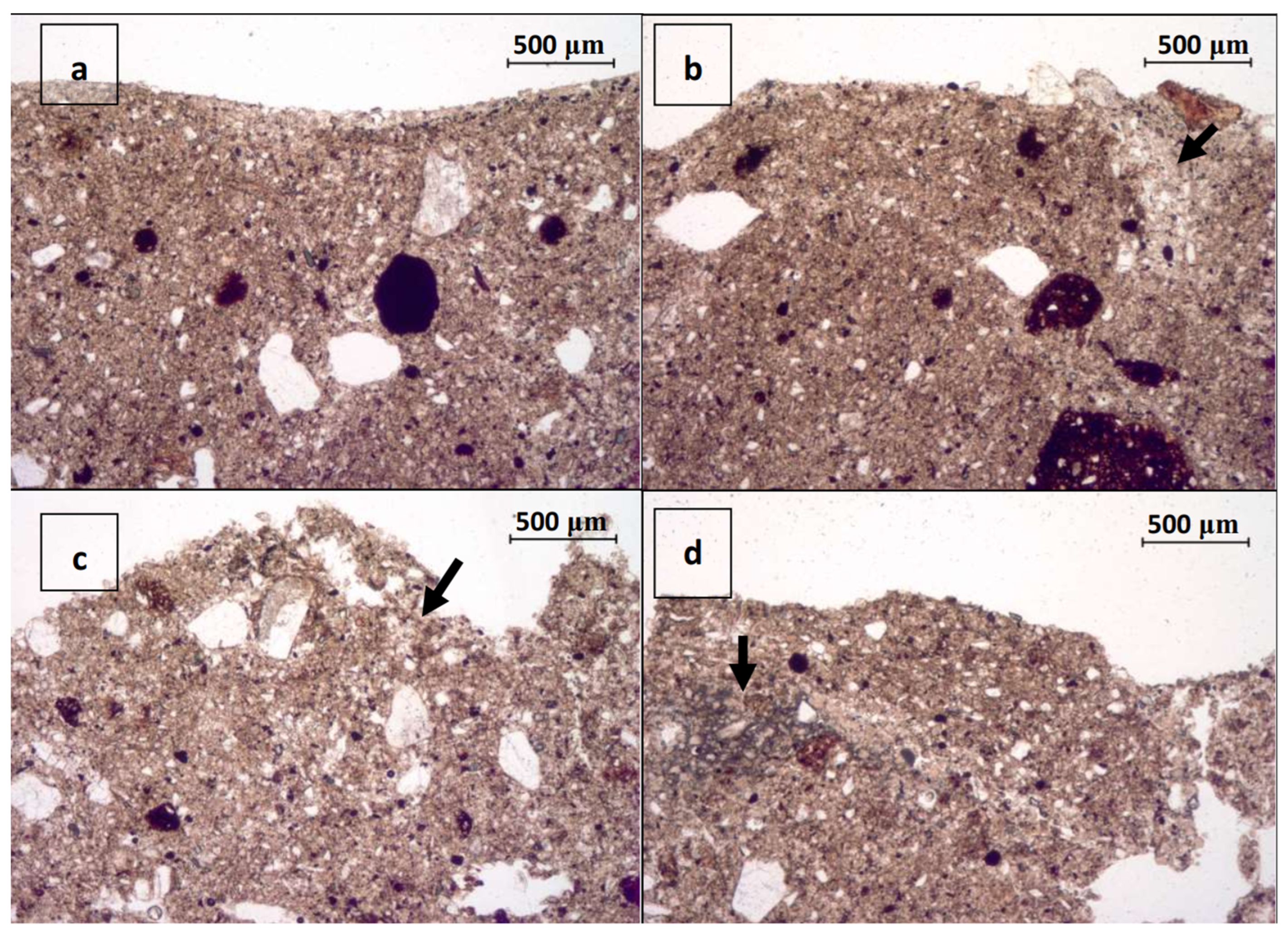 Sustainability 15 01977 g008