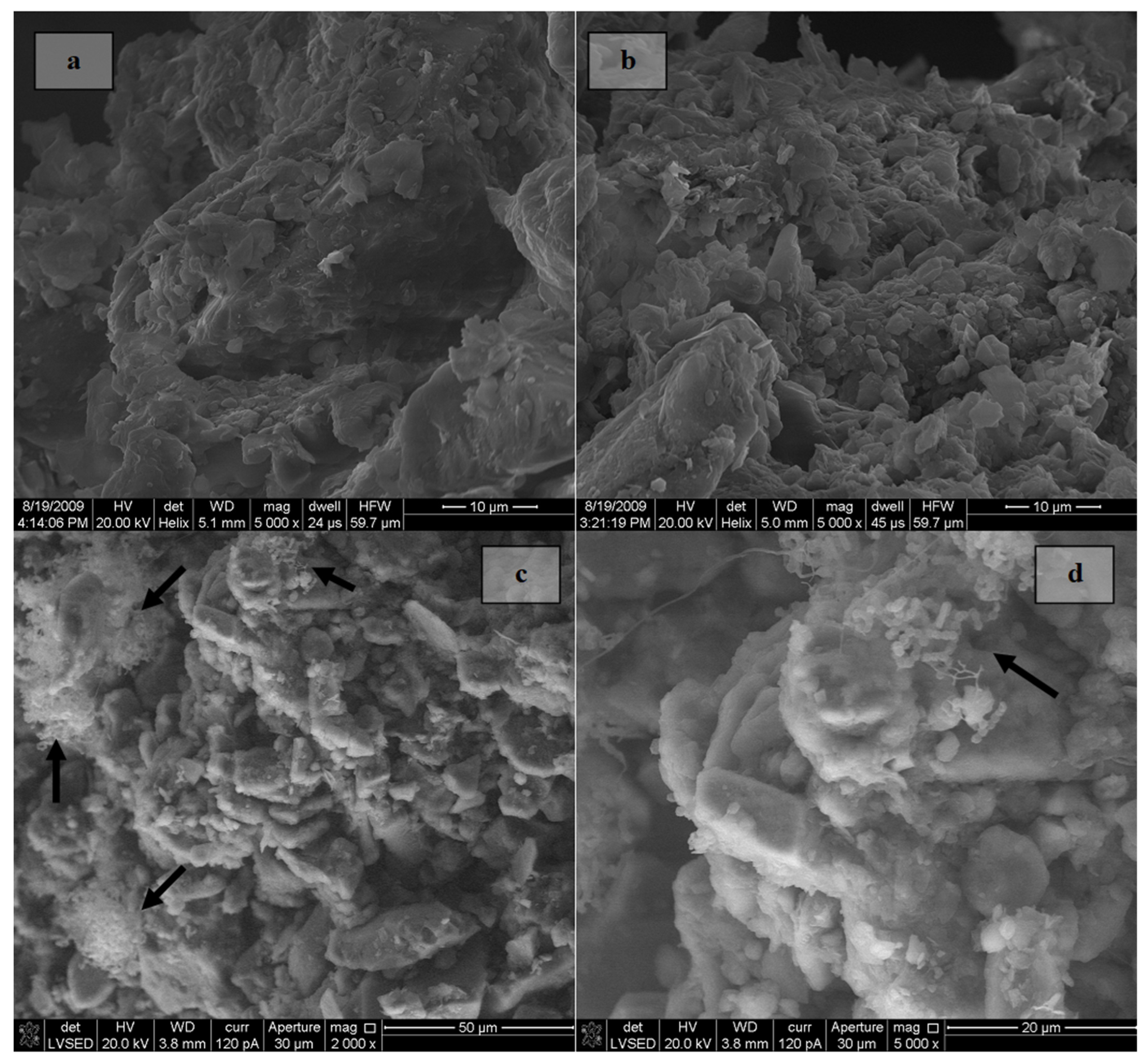 Sustainability 15 01977 g009