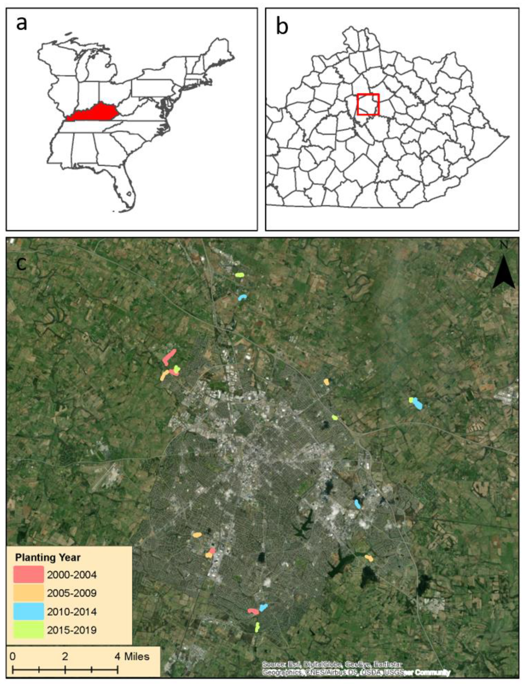 Sustainability 15 01985 g001