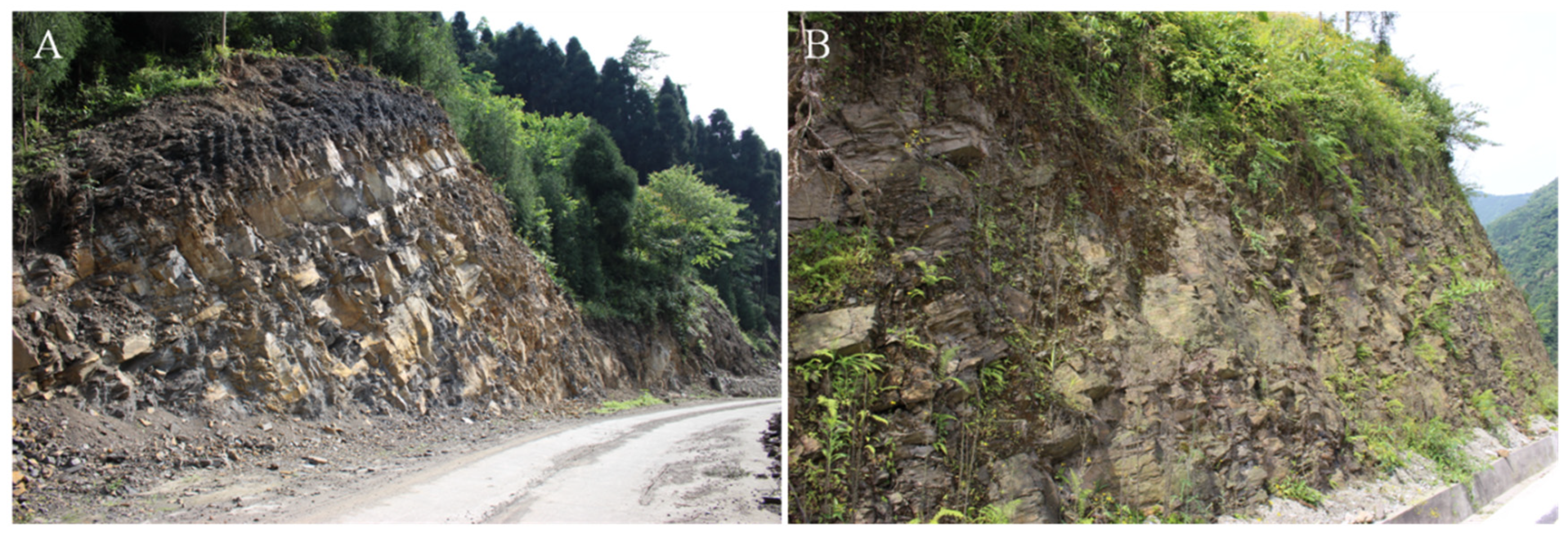 Sustainability 15 01990 g006