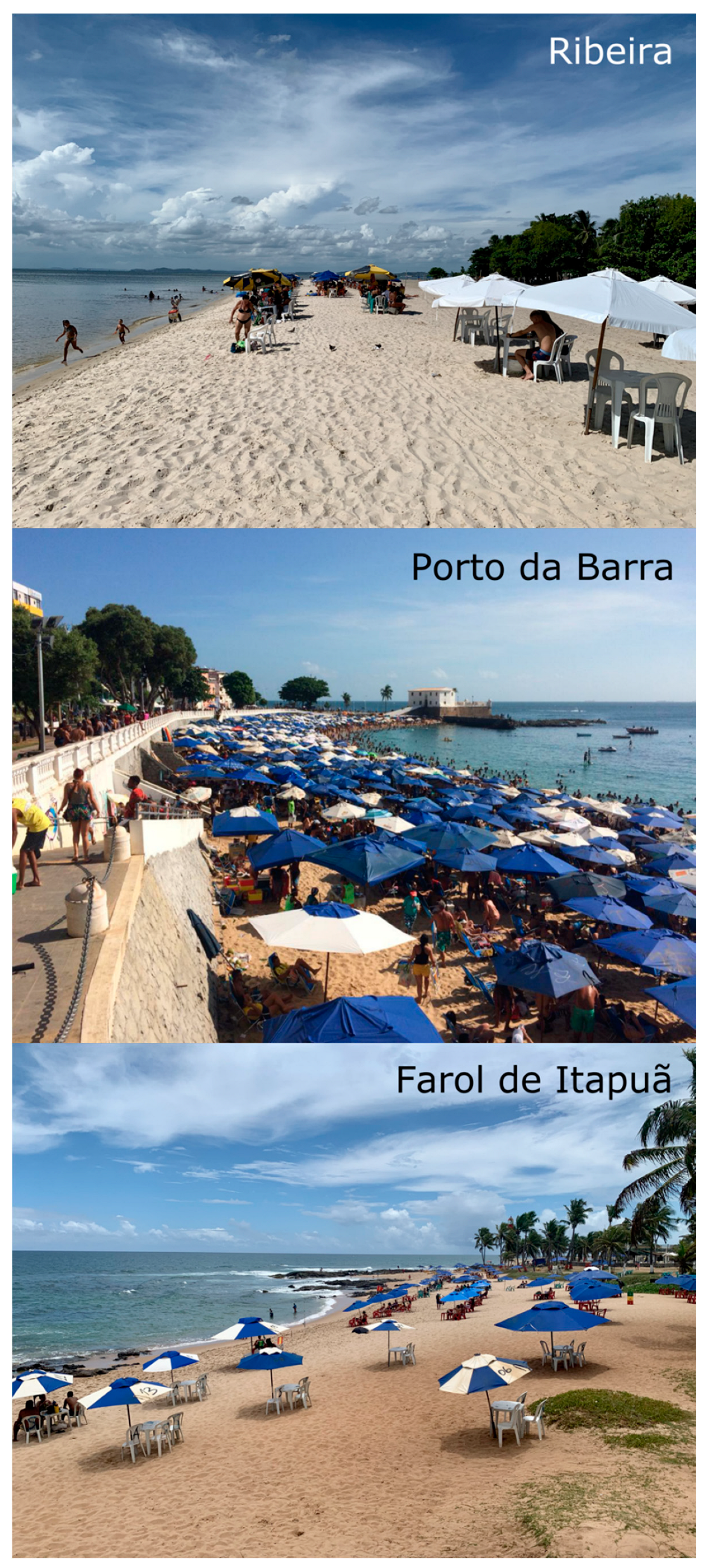 Sustainability 15 02009 g001