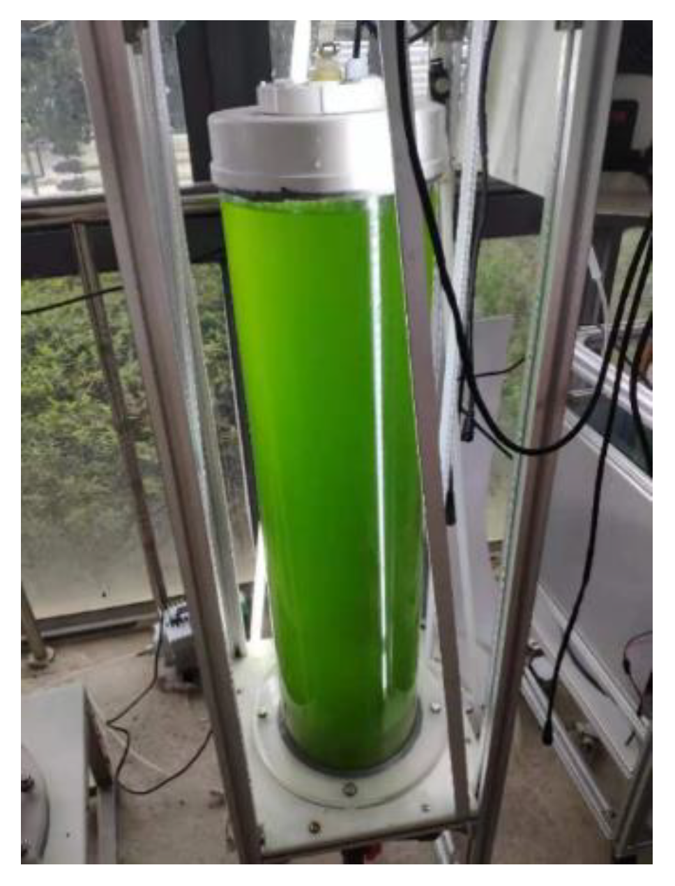 Sustainability 15 02162 g001