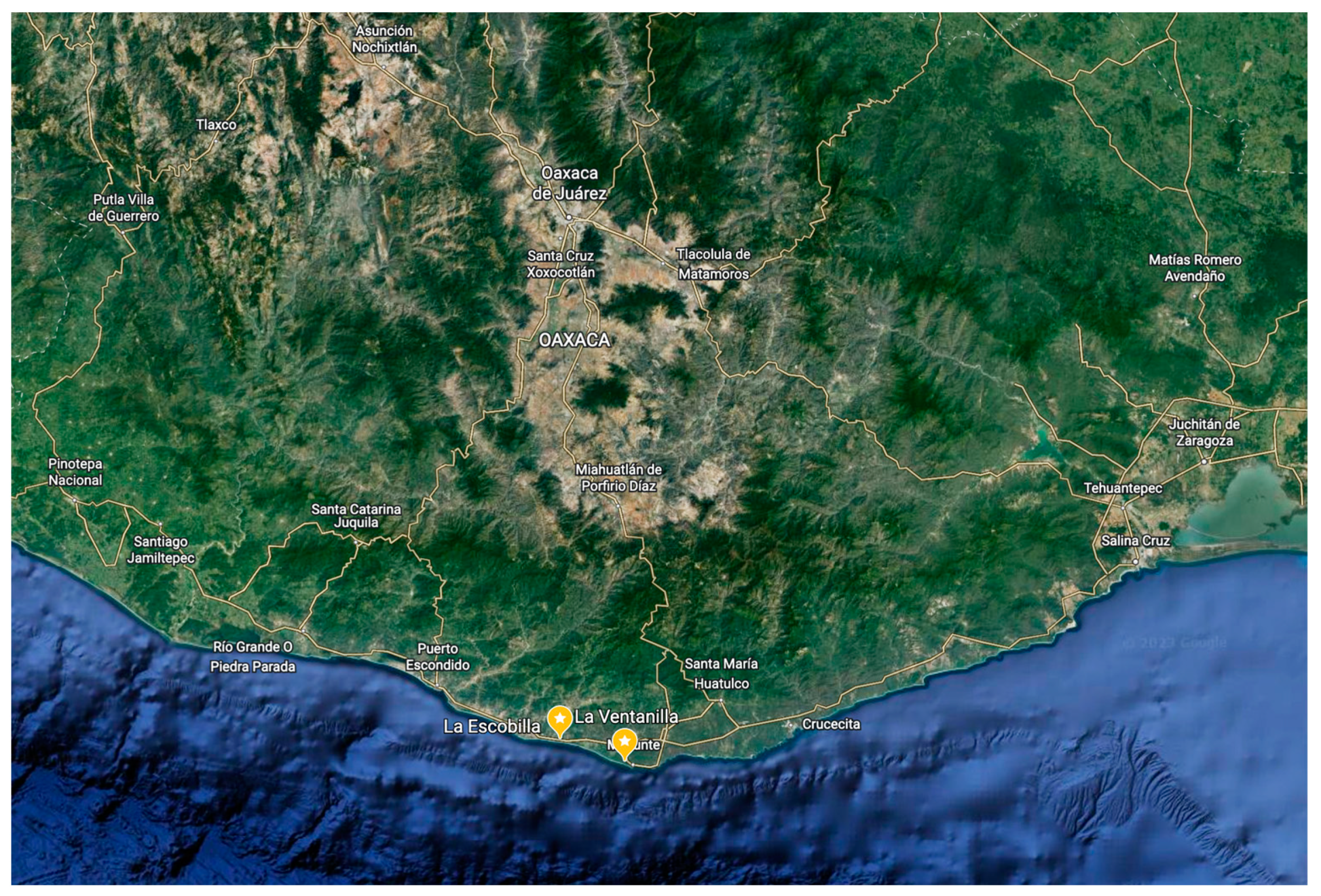 Sustainability 15 02207 g001