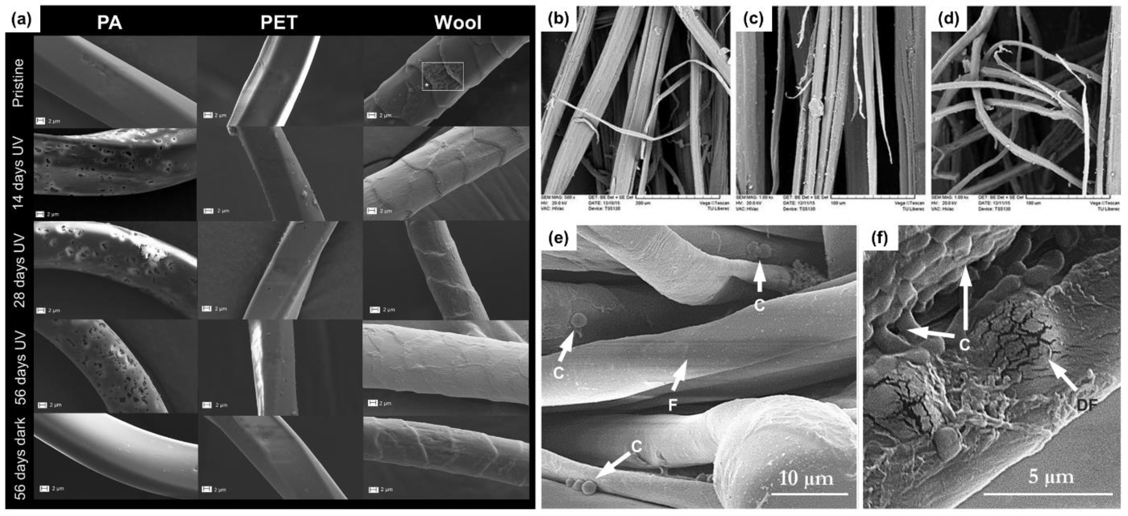 Sustainability 15 02216 g008