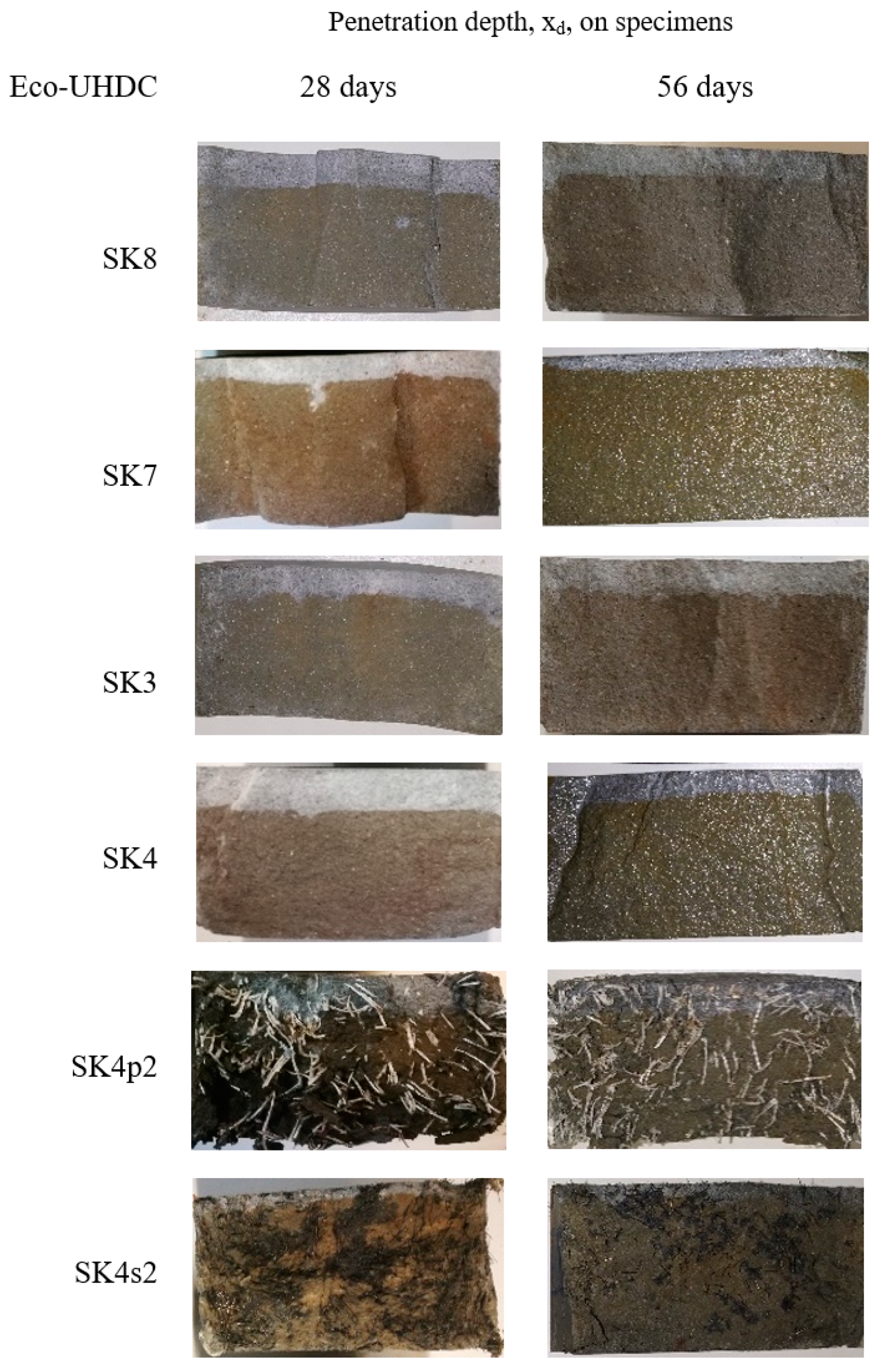 Sustainability 15 02381 g015 Sustainability 15 02381 g015