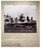 Sustainability 15 02417 i003 Sustainability 15 02417 i003