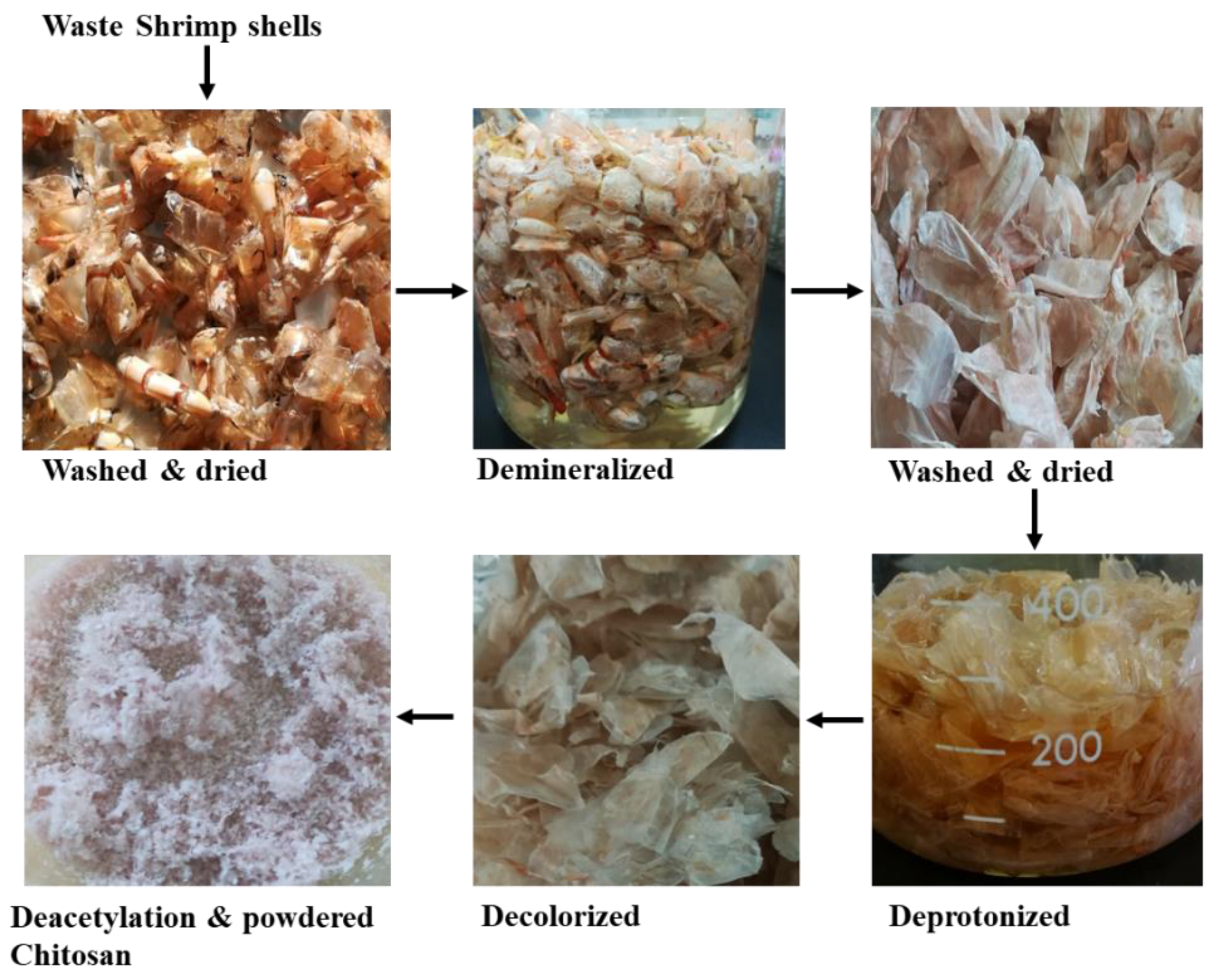 Sustainability 15 02431 g001 Sustainability 15 02431 g001