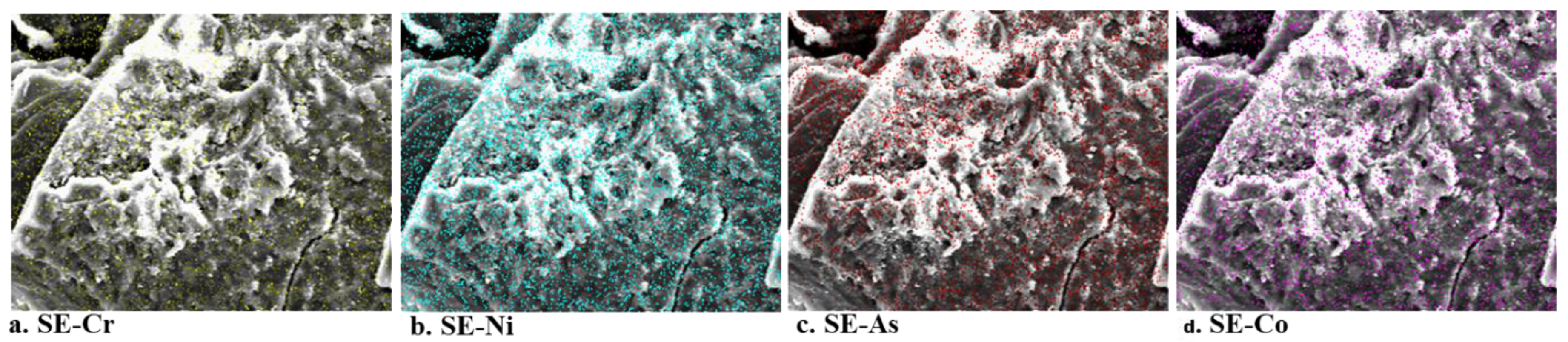 Sustainability 15 02431 g004 Sustainability 15 02431 g004