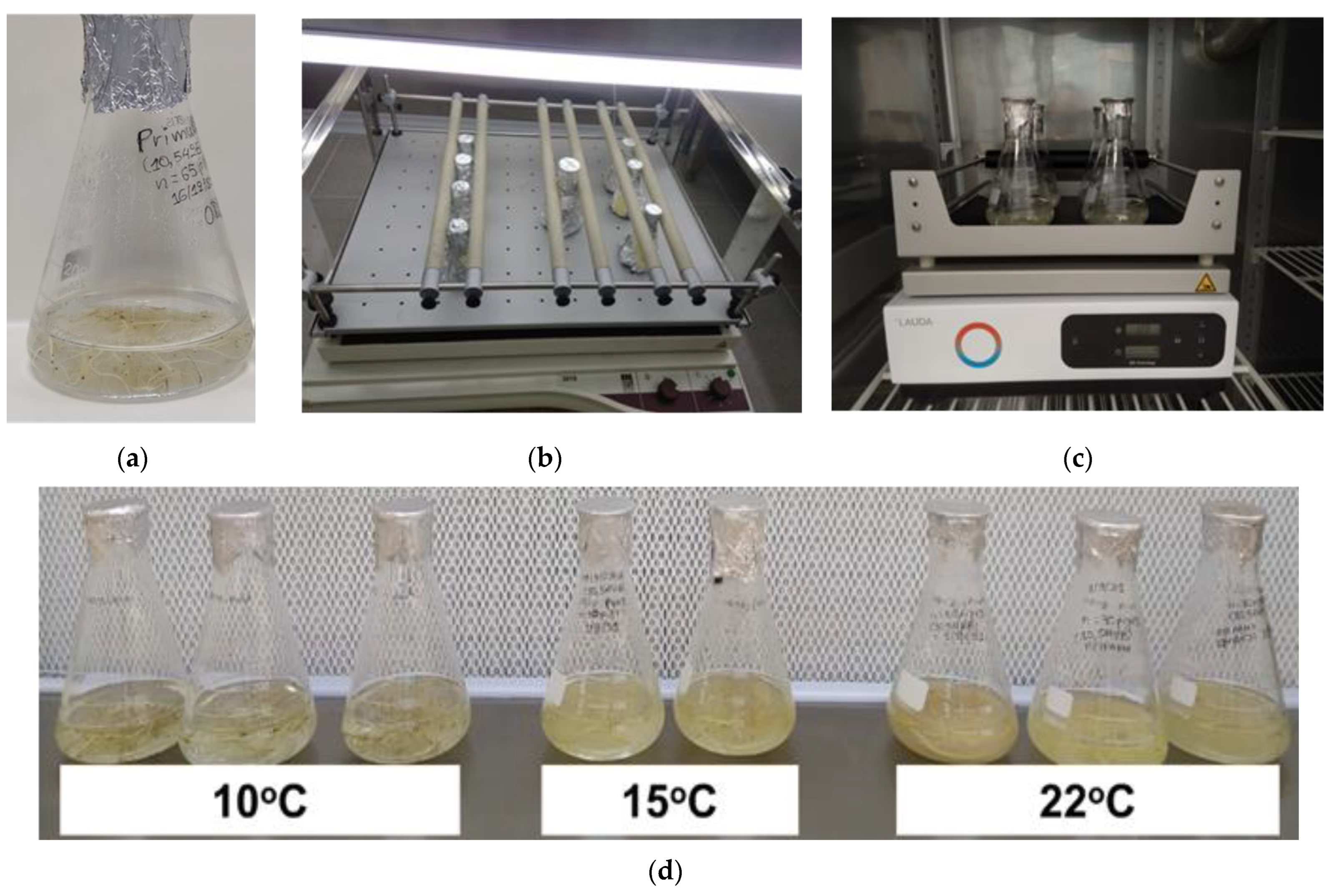 Sustainability 15 02452 g002a
