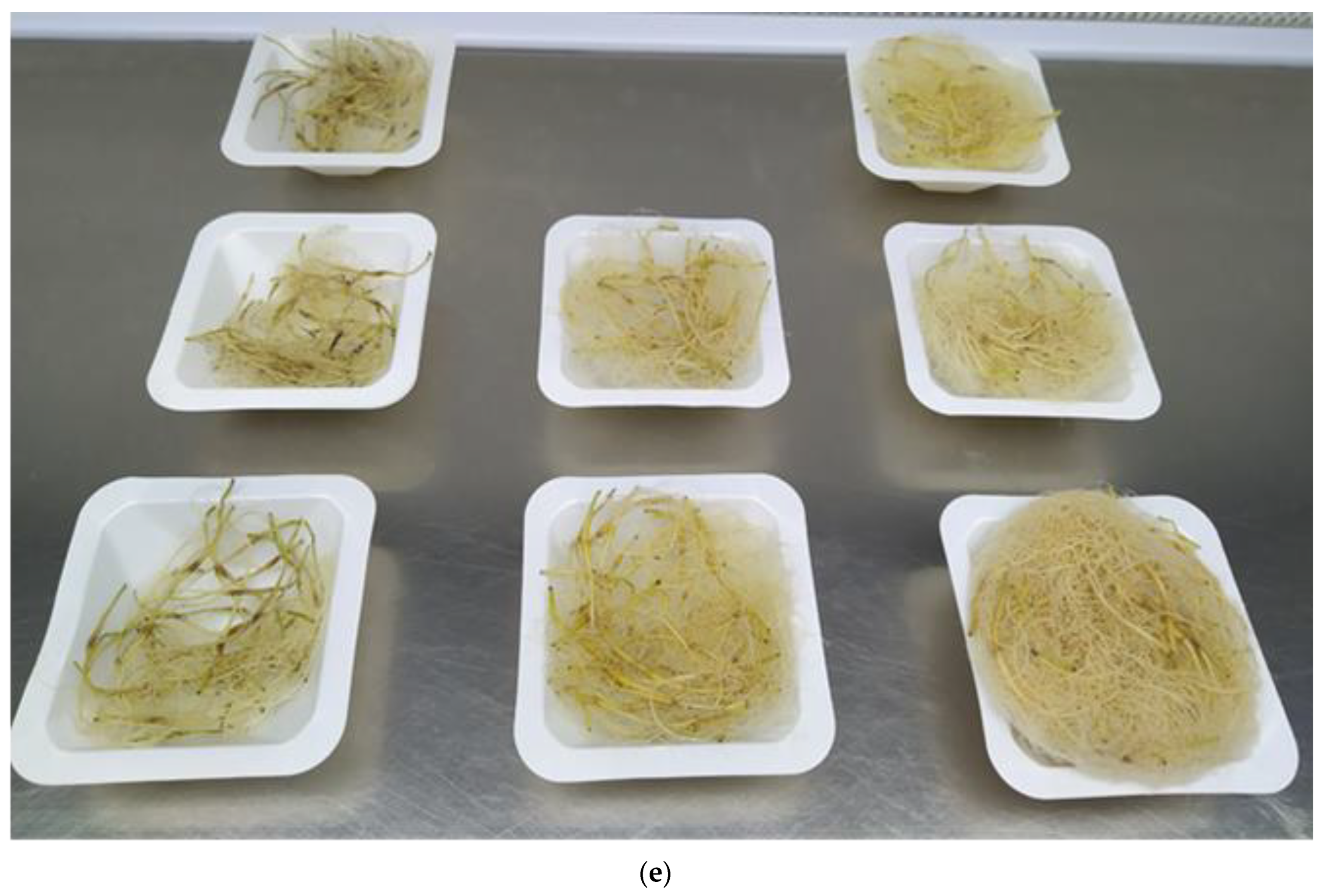 Sustainability 15 02452 g002b