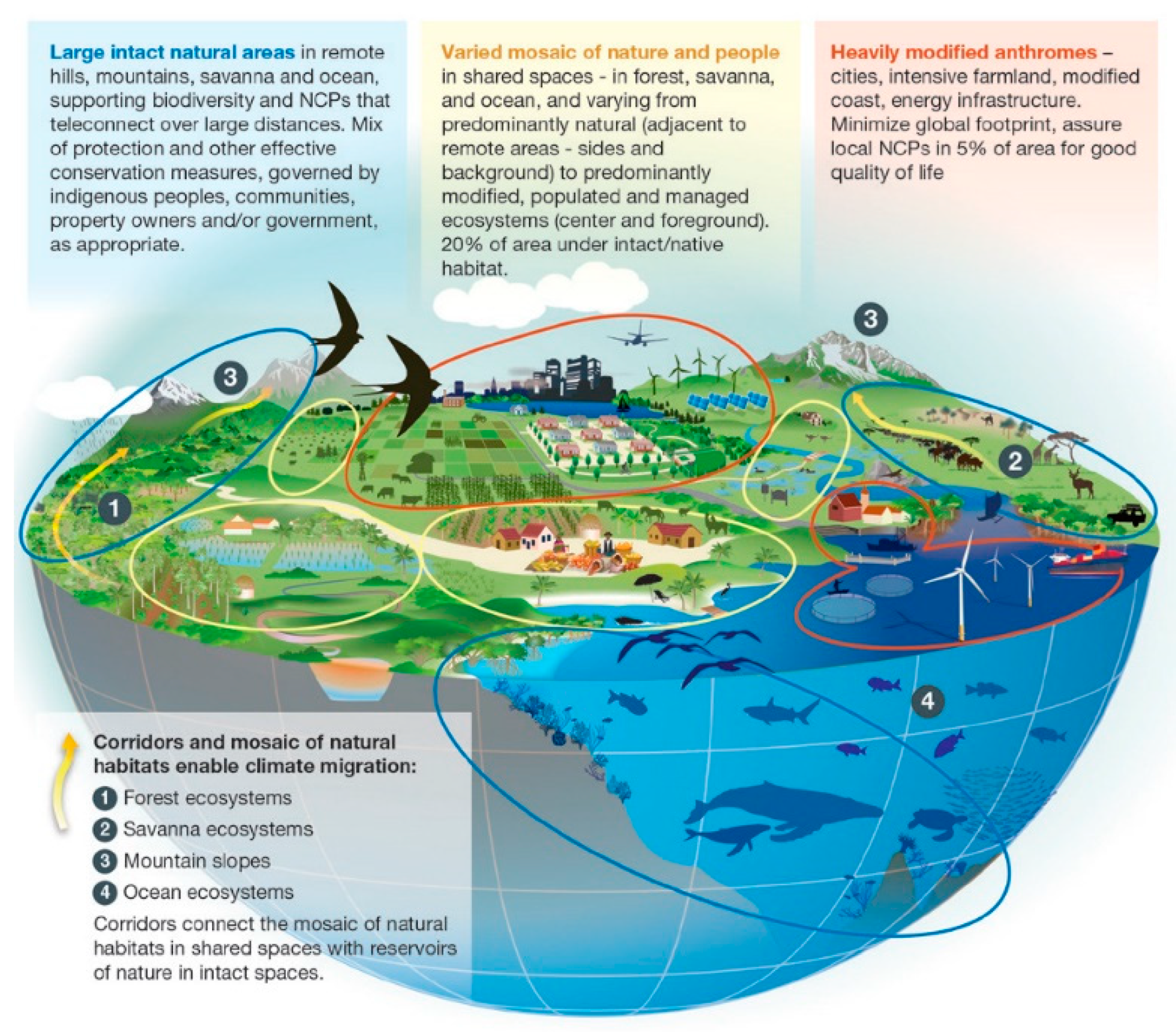 Sustainability 15 02484 g002