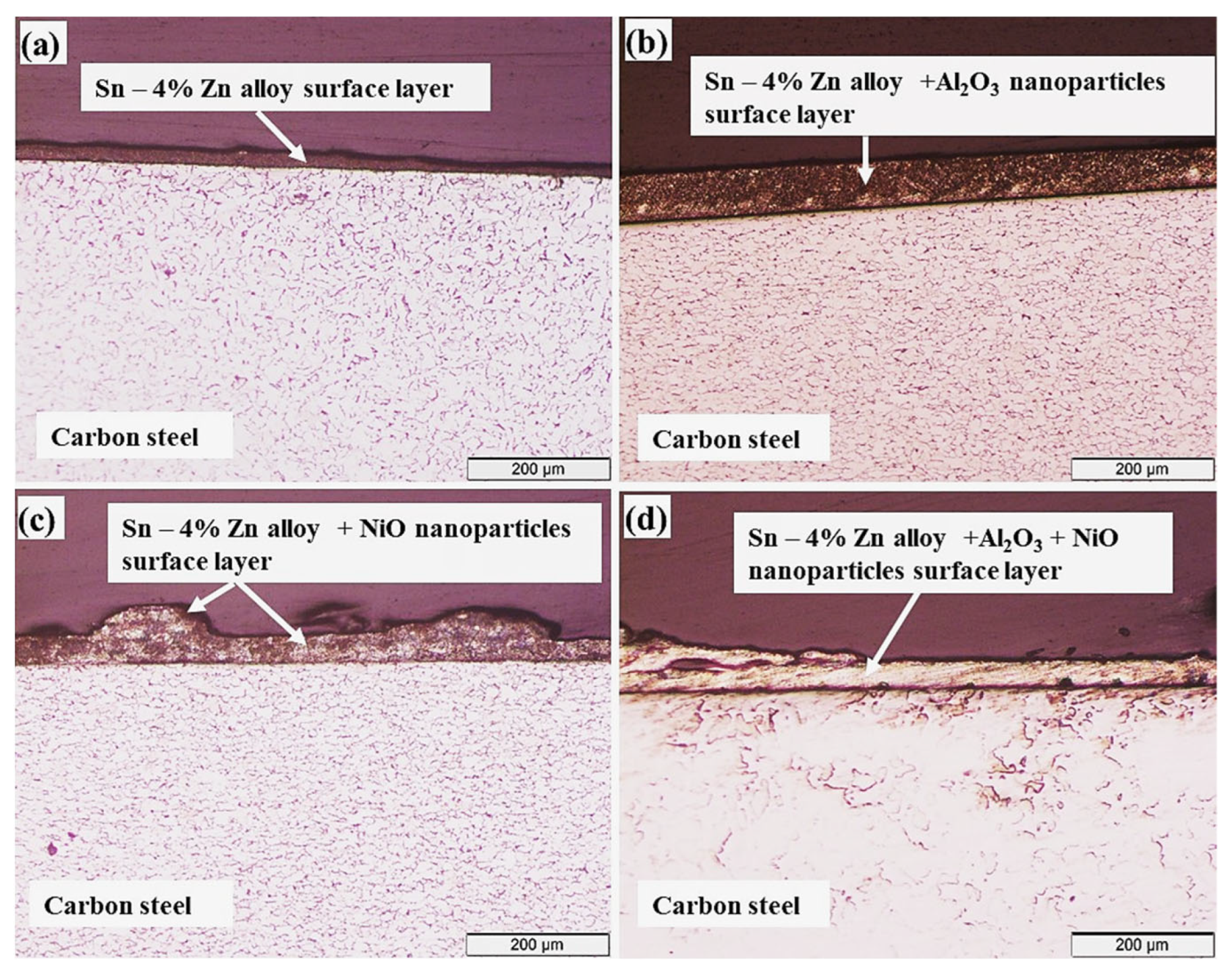 Sustainability 15 02511 g003
