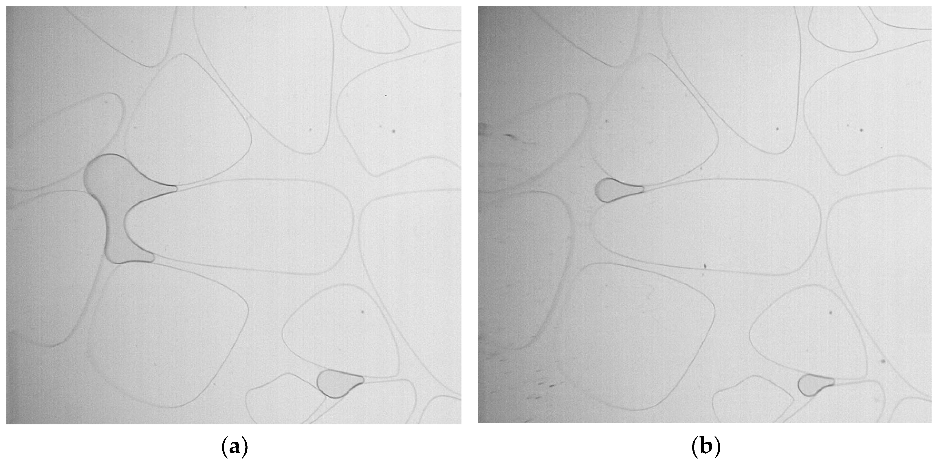 Sustainability 15 02593 g002