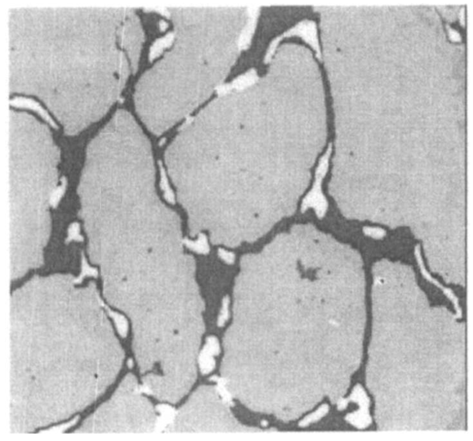 Sustainability 15 02593 g005