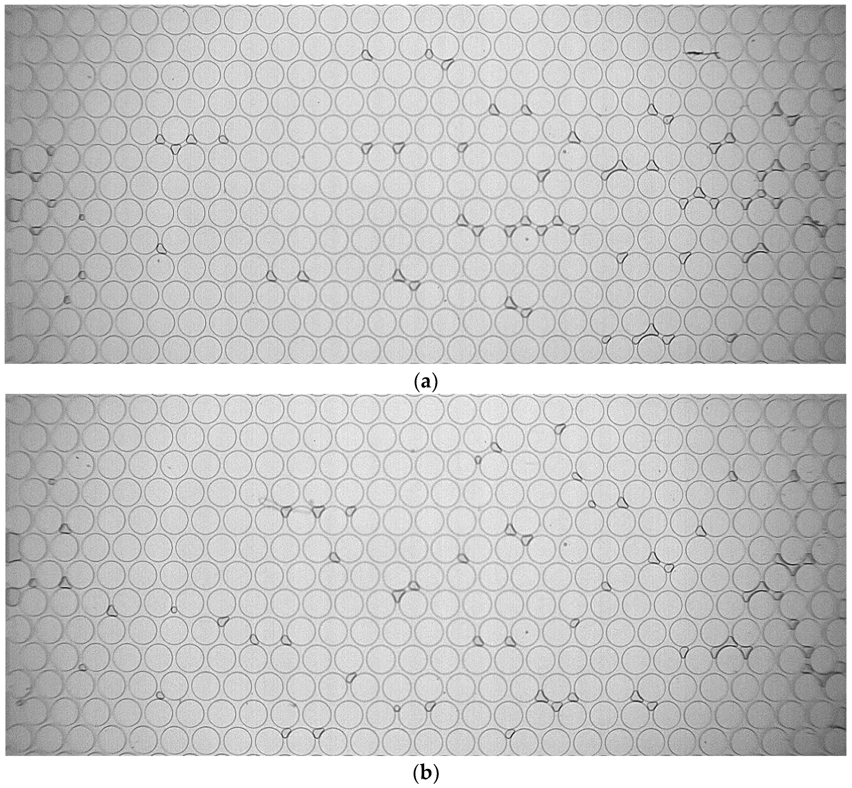 Sustainability 15 02593 g007