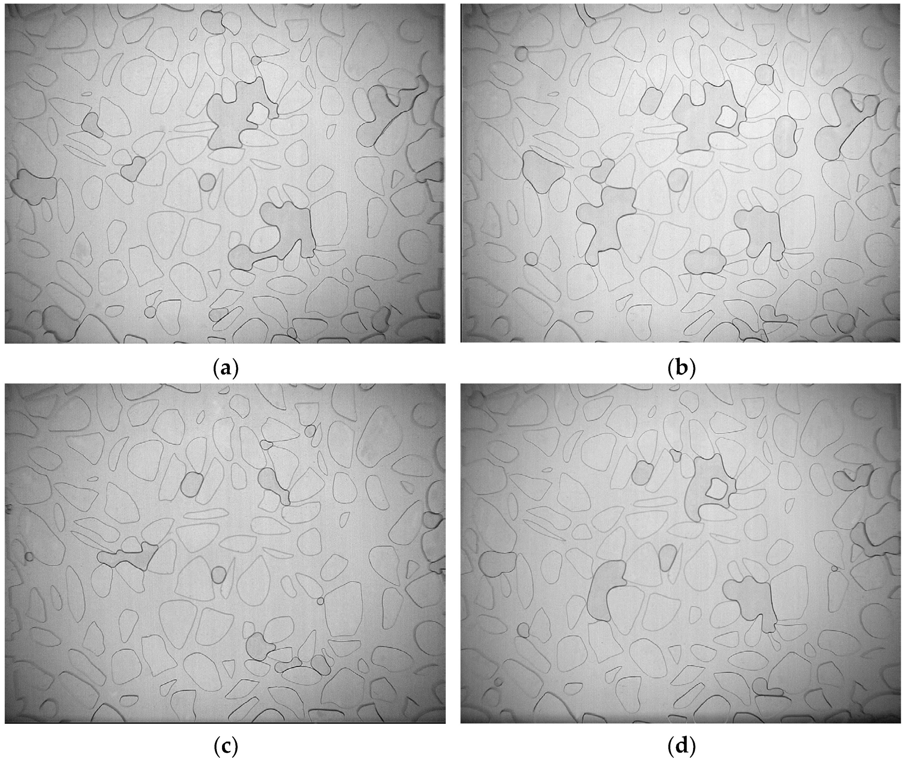 Sustainability 15 02593 g008