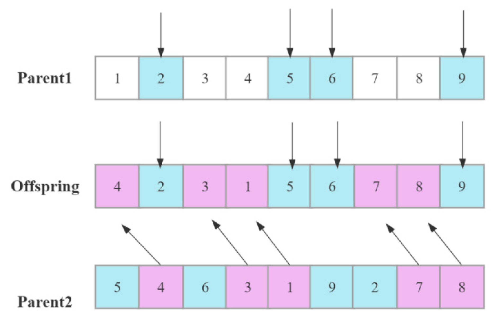 Sustainability 15 02622 g005 Sustainability 15 02622 g005