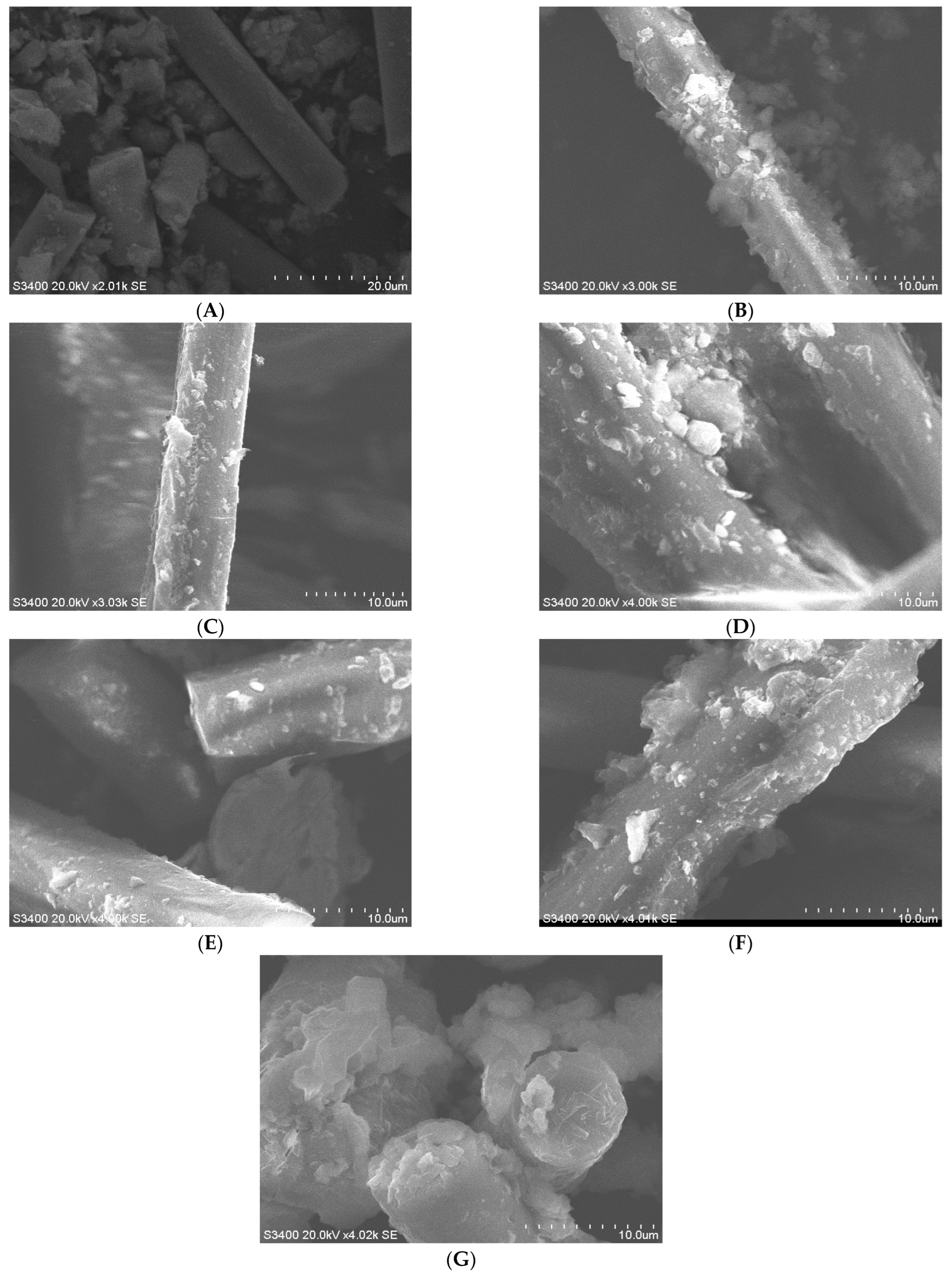 Sustainability 15 02709 g006