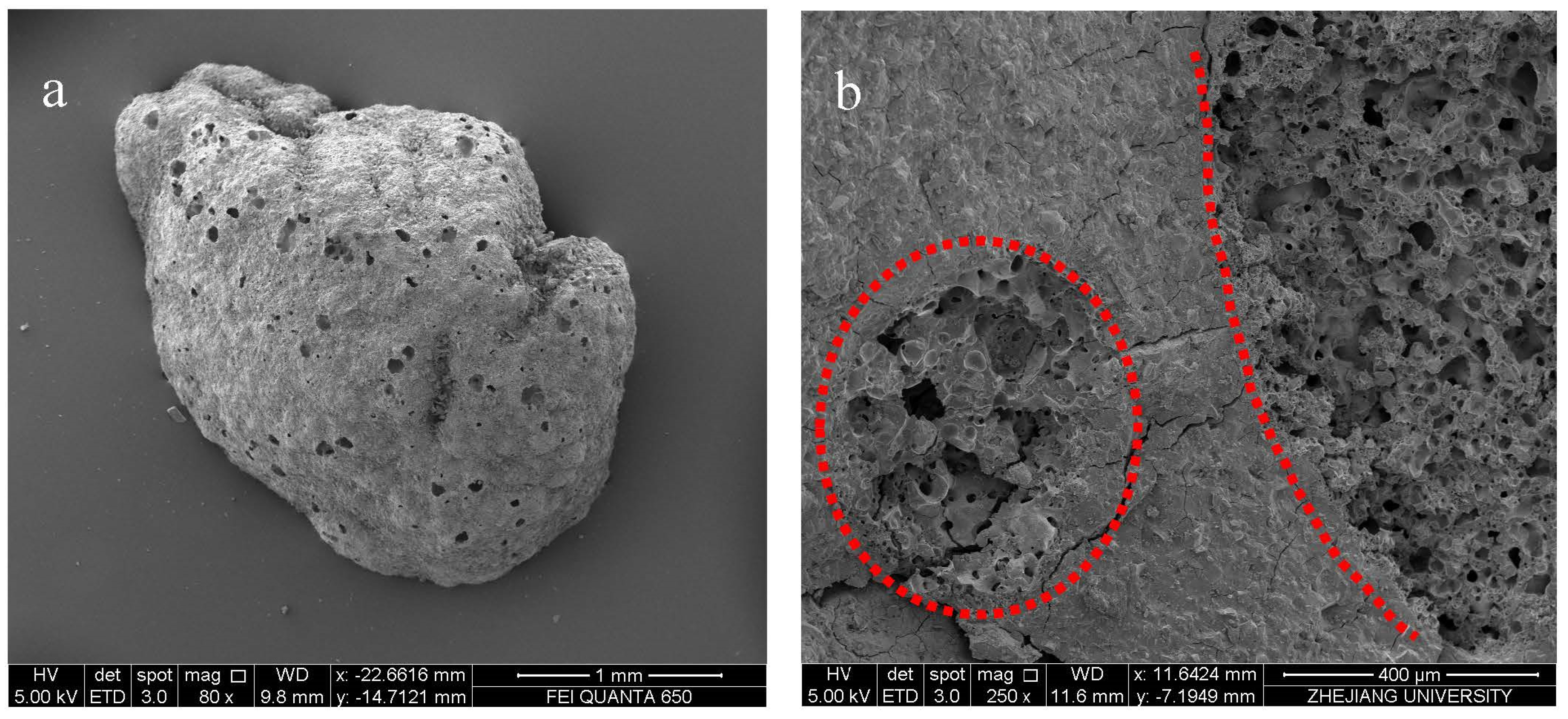 Sustainability 15 02771 g014a