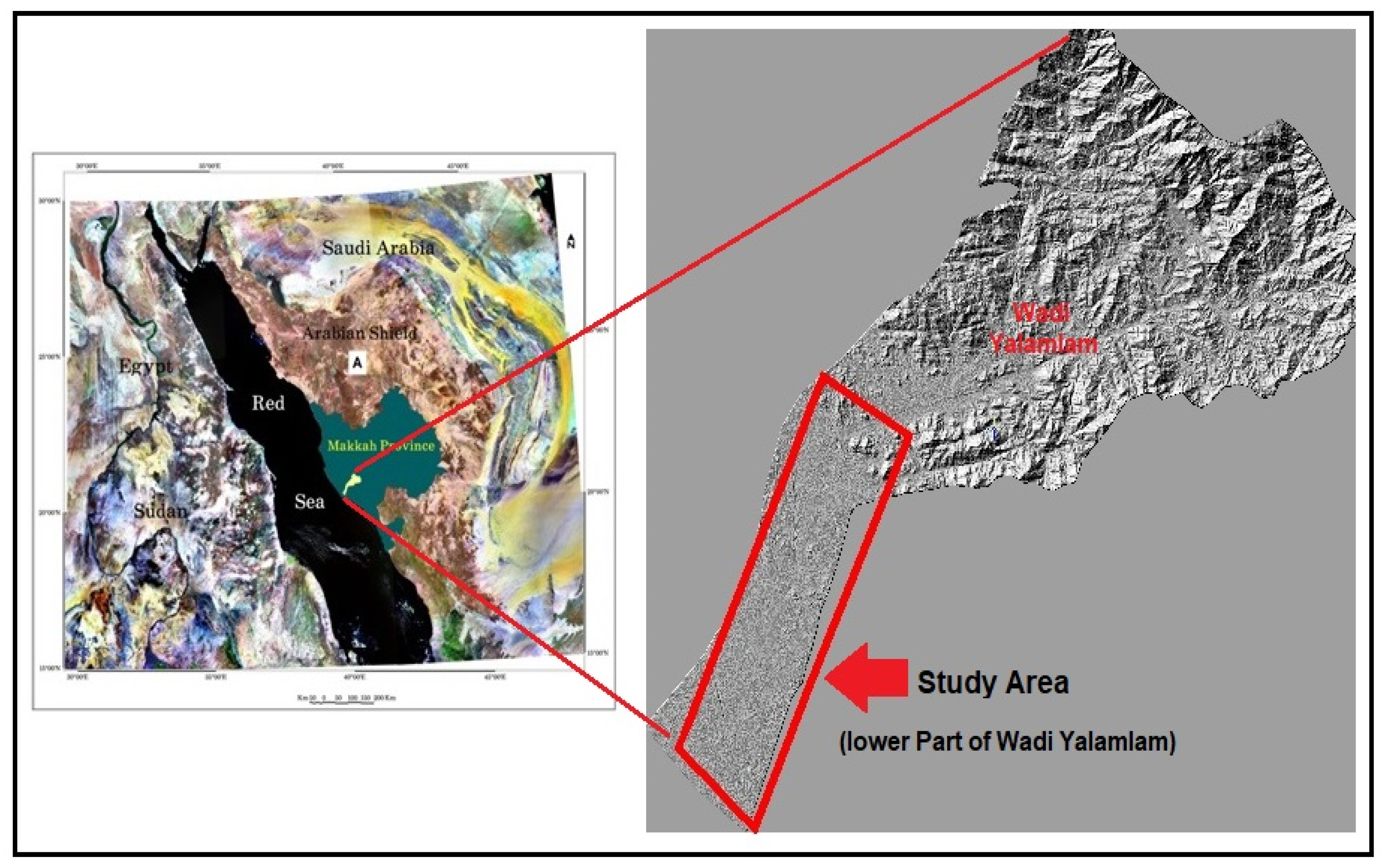 Sustainability 15 02772 g001