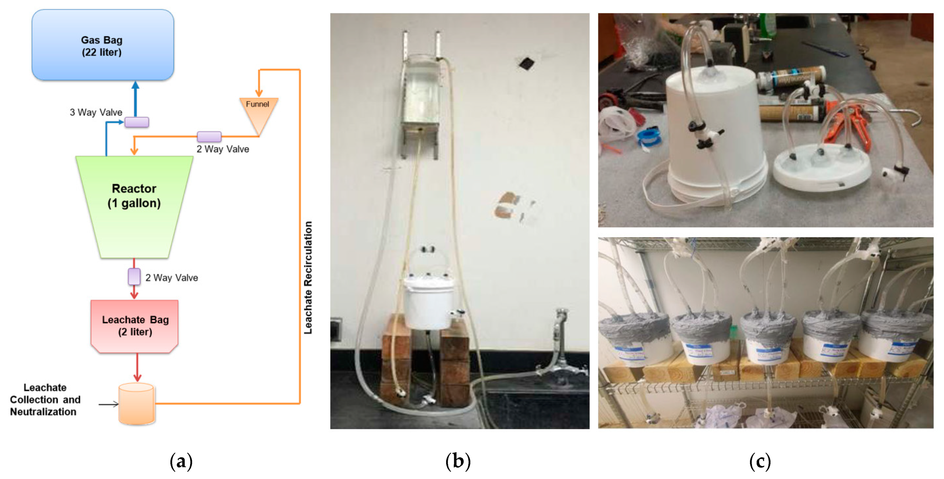 Sustainability 15 02782 g001