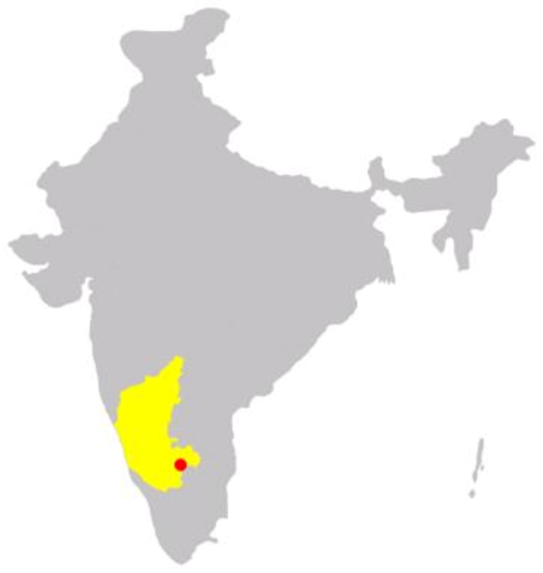 Sustainability 15 02789 g001