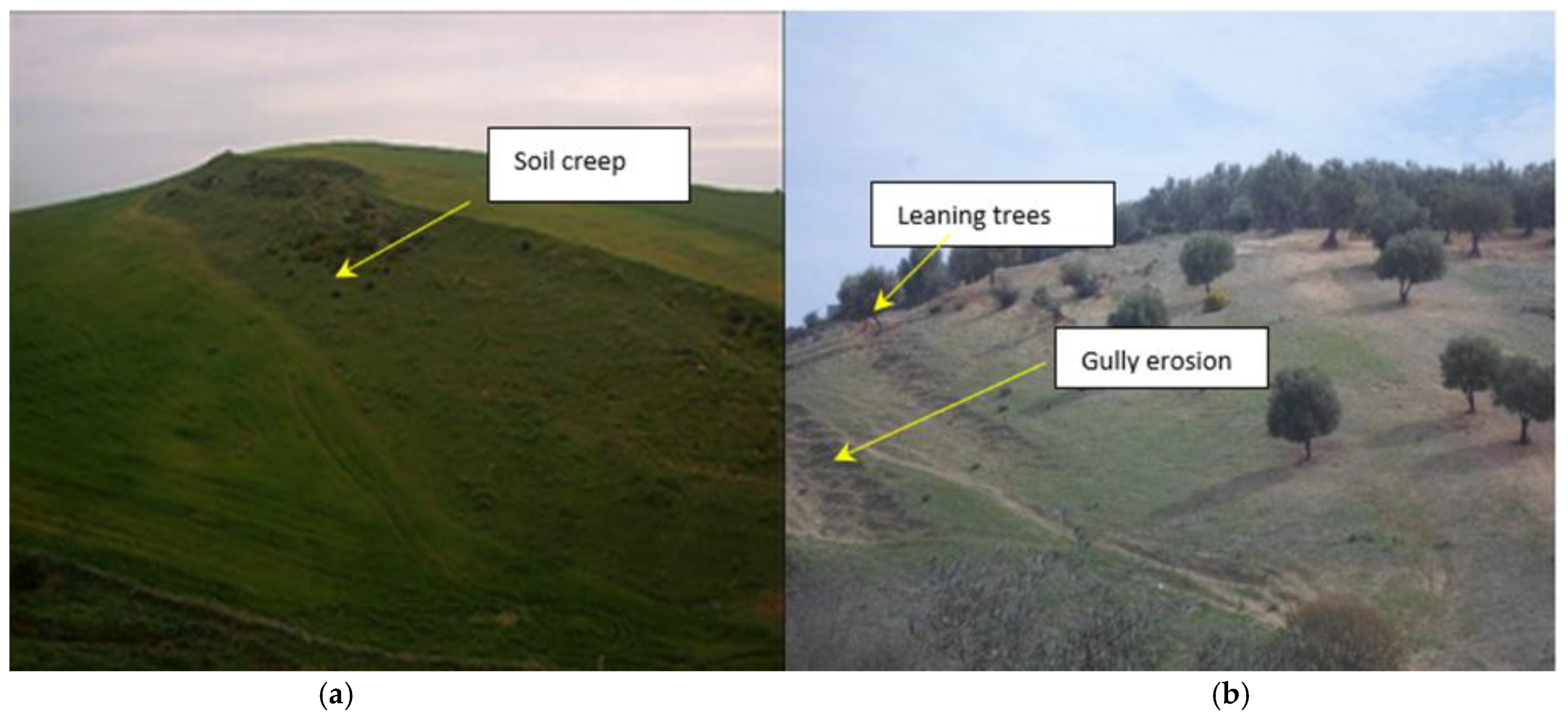 Sustainability 15 02812 g003