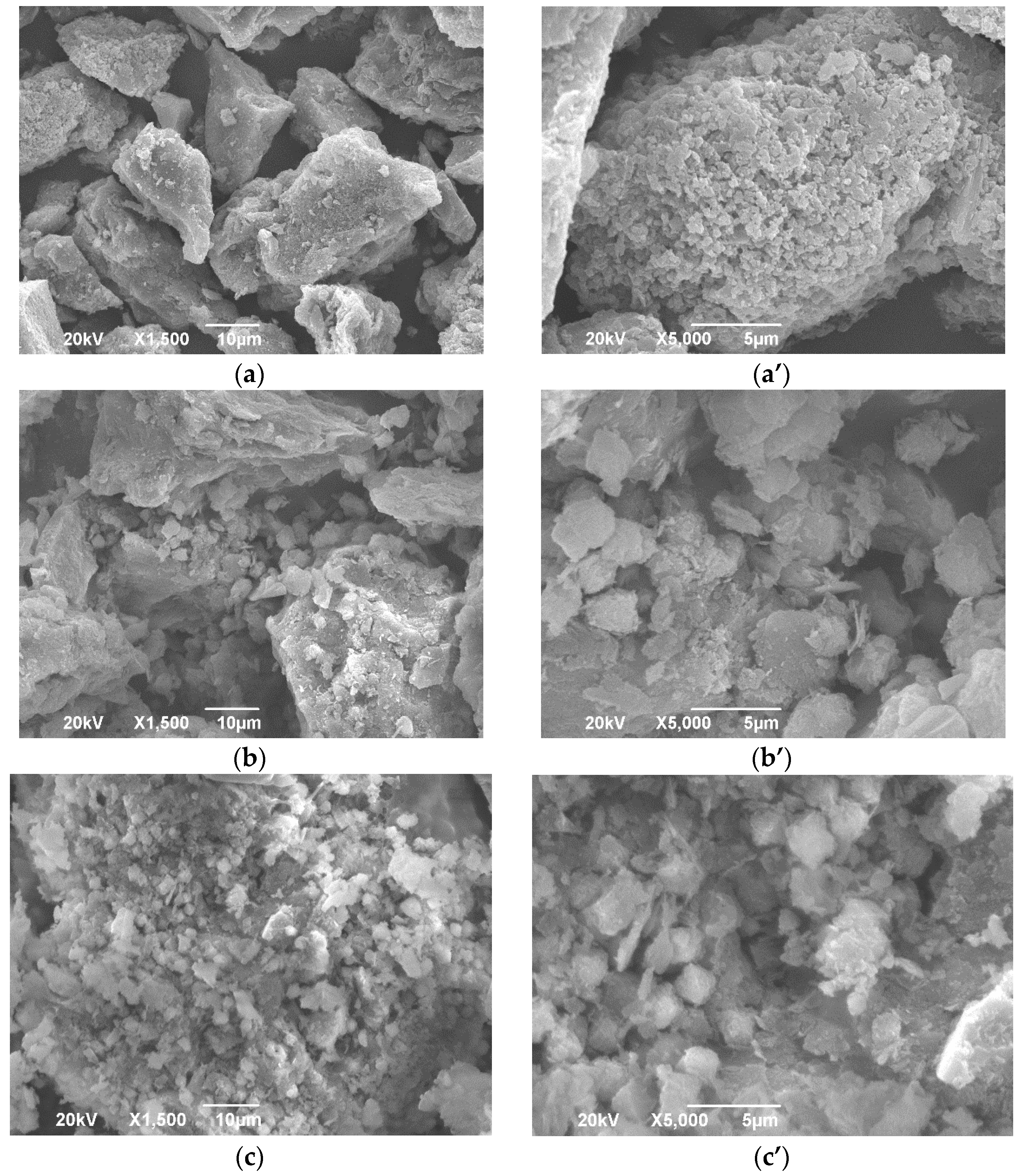 Sustainability 15 02869 g007