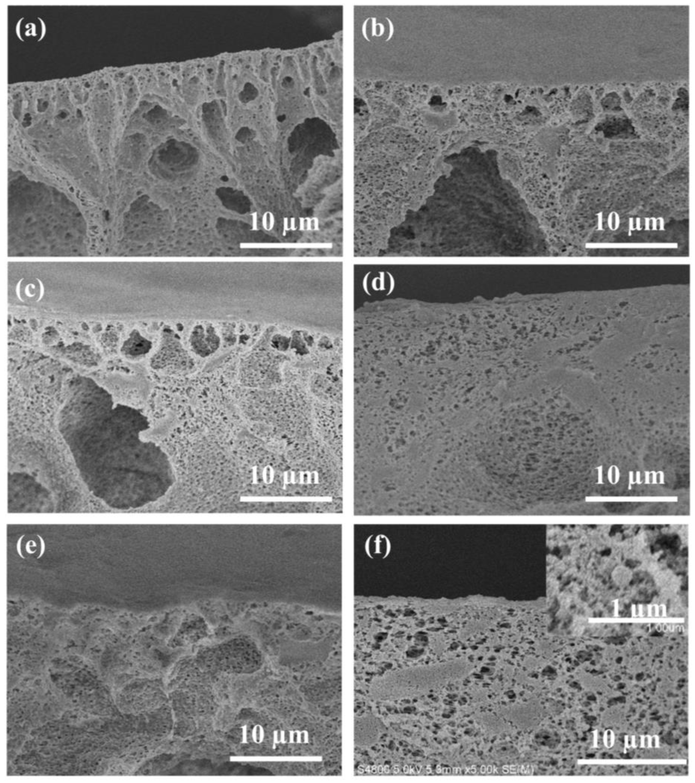 Sustainability 15 02879 g003 Sustainability 15 02879 g003