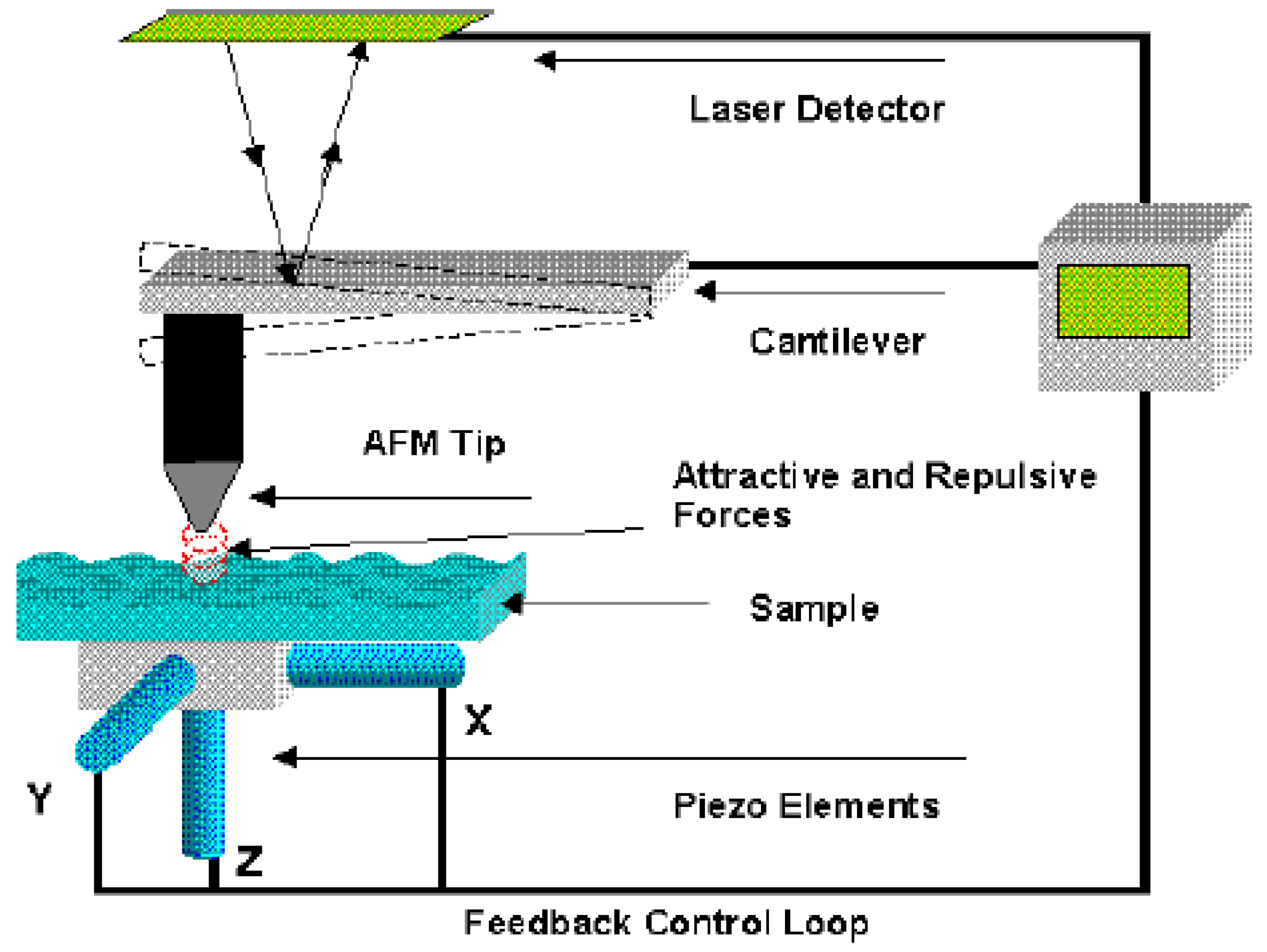 Sustainability 15 02953 g011